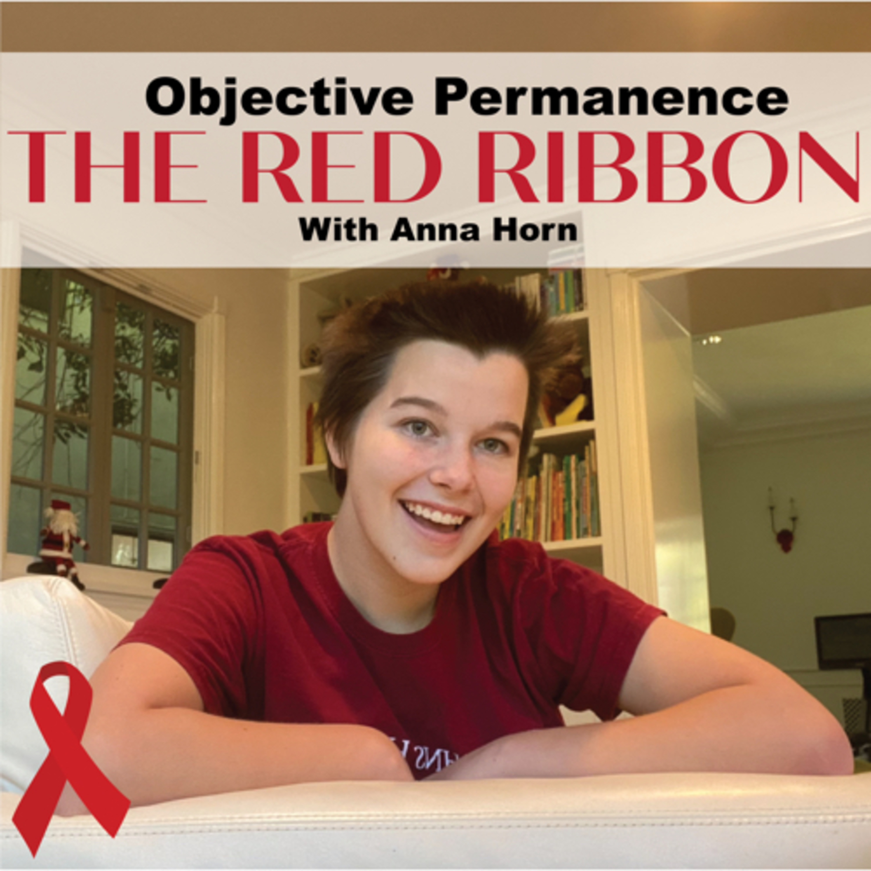Objective Permanence