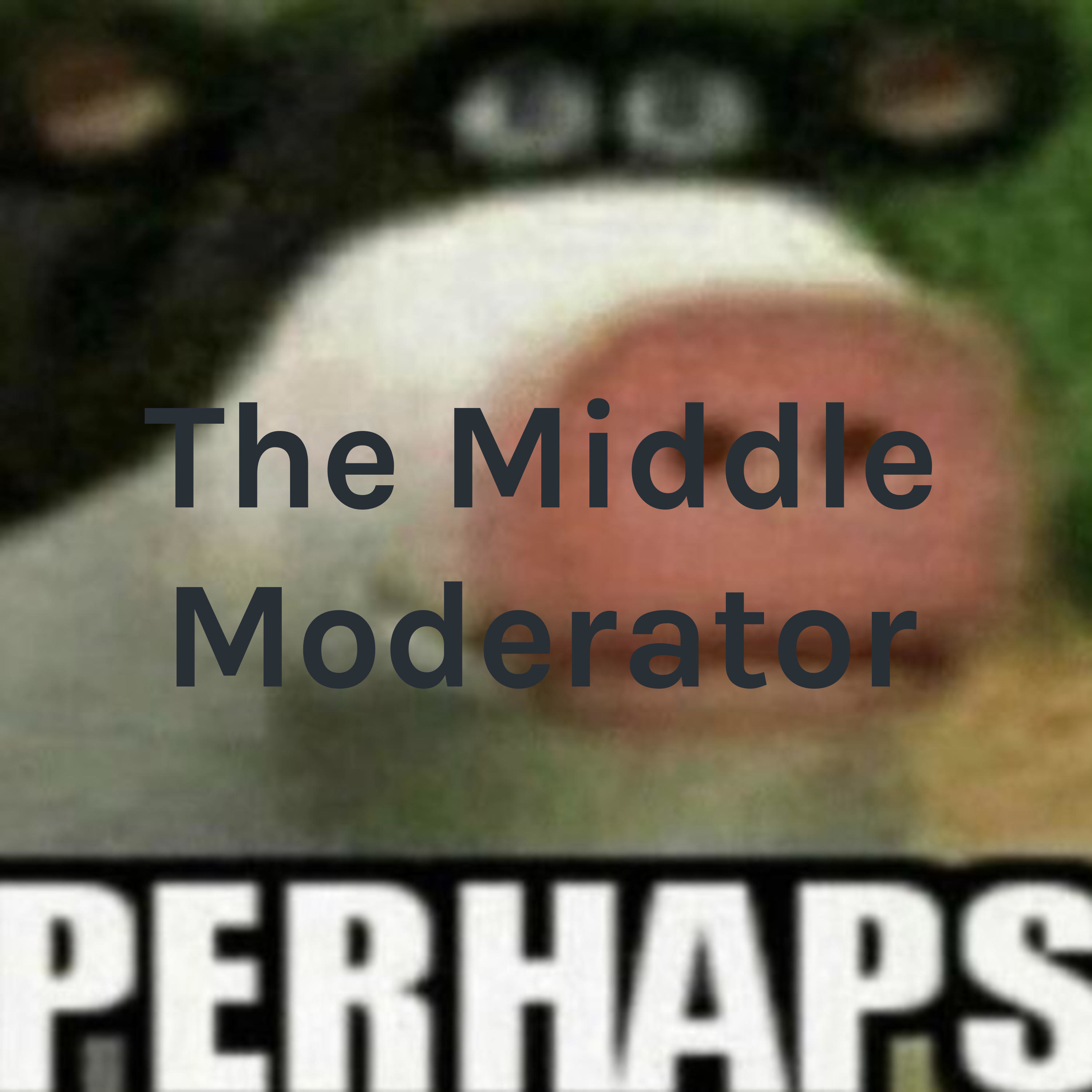 The Middle Moderator