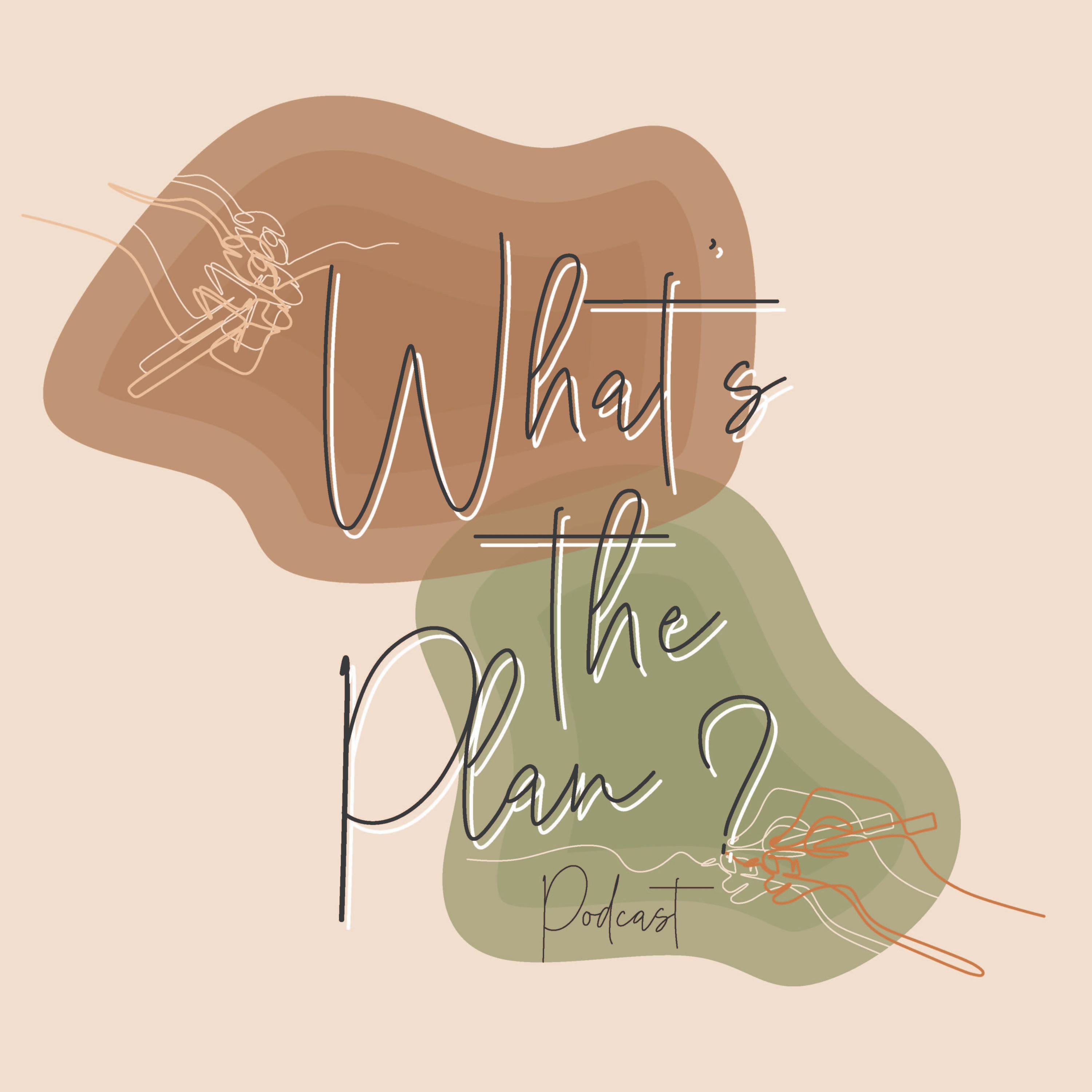What's the Plan? cover art