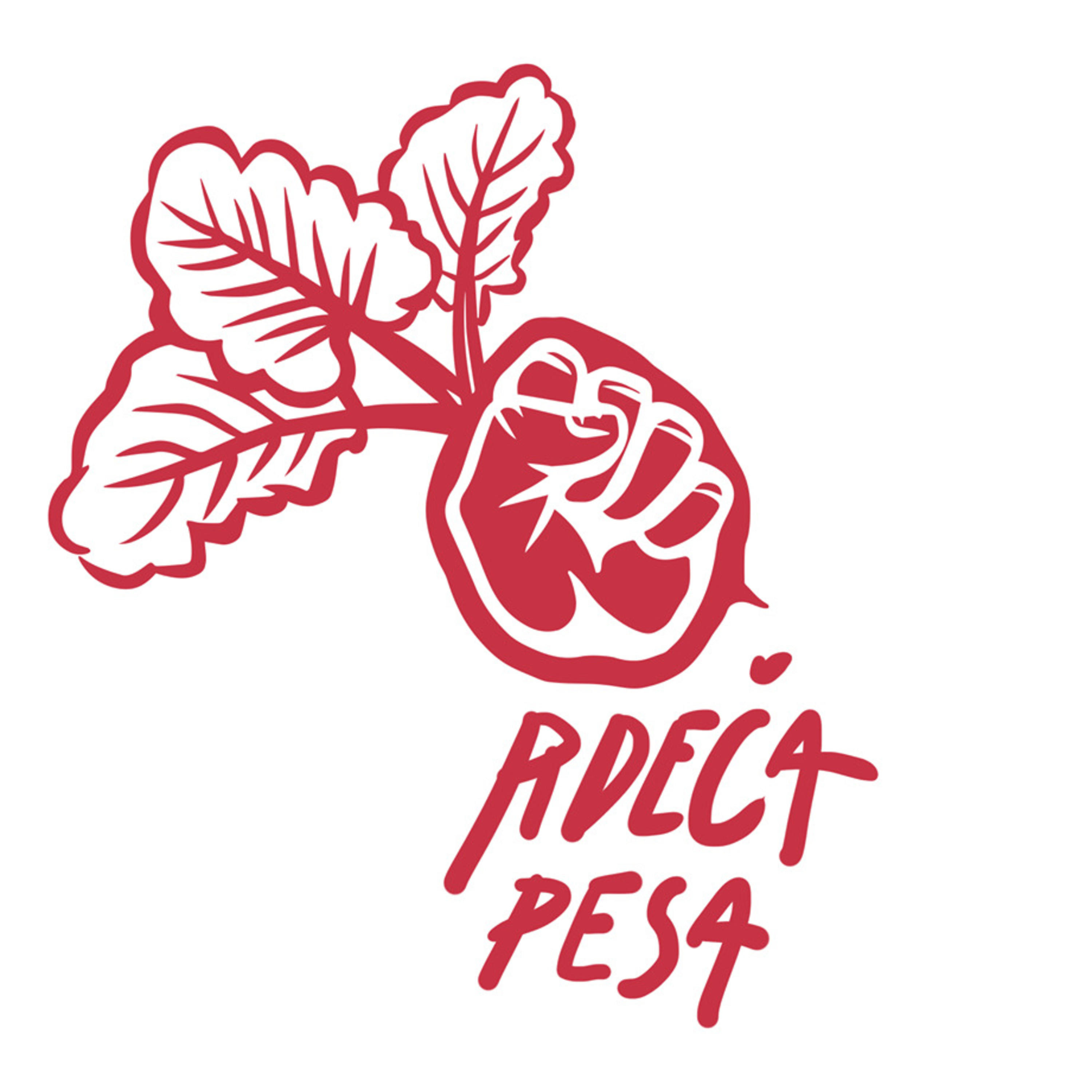 Rdeča pesa