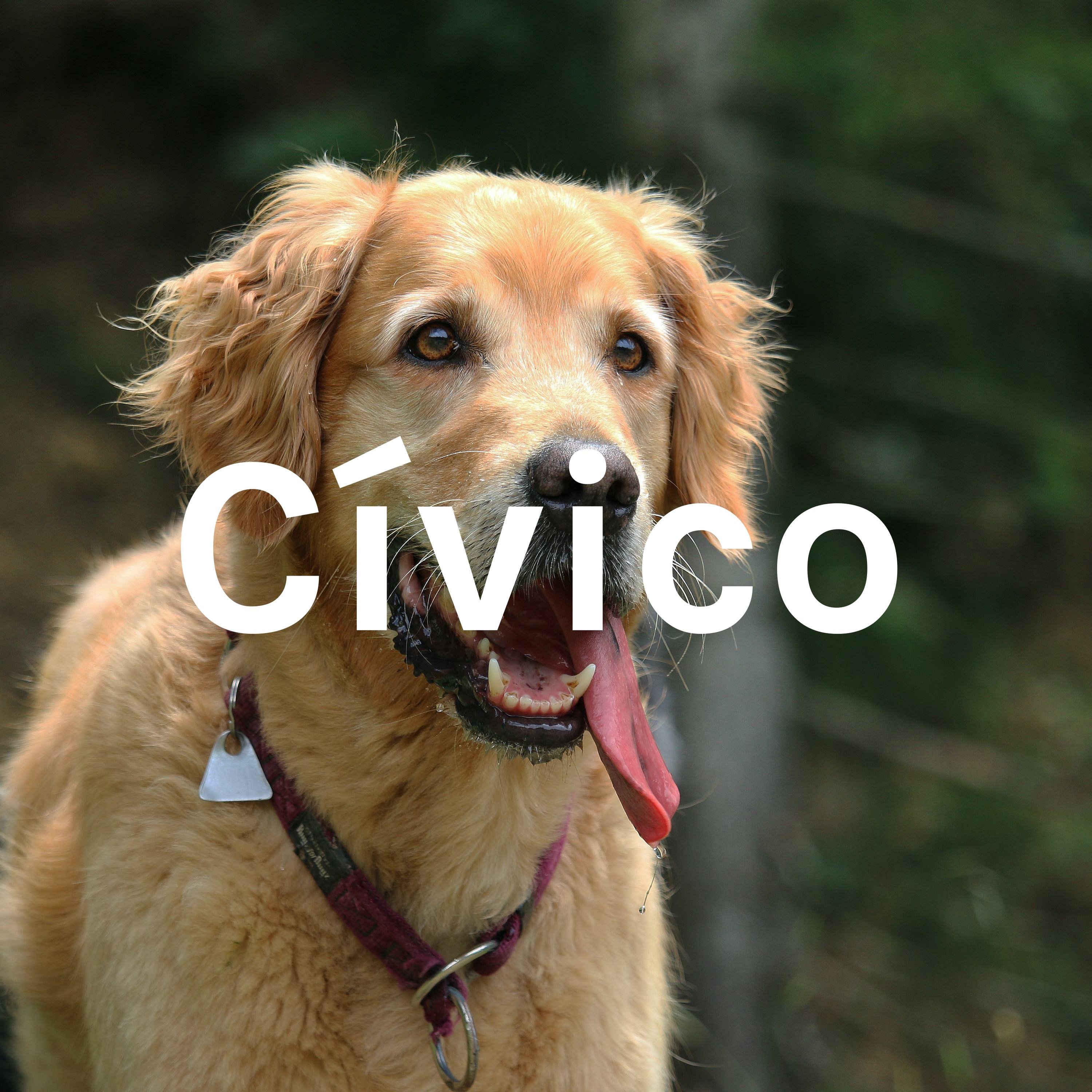Cívico