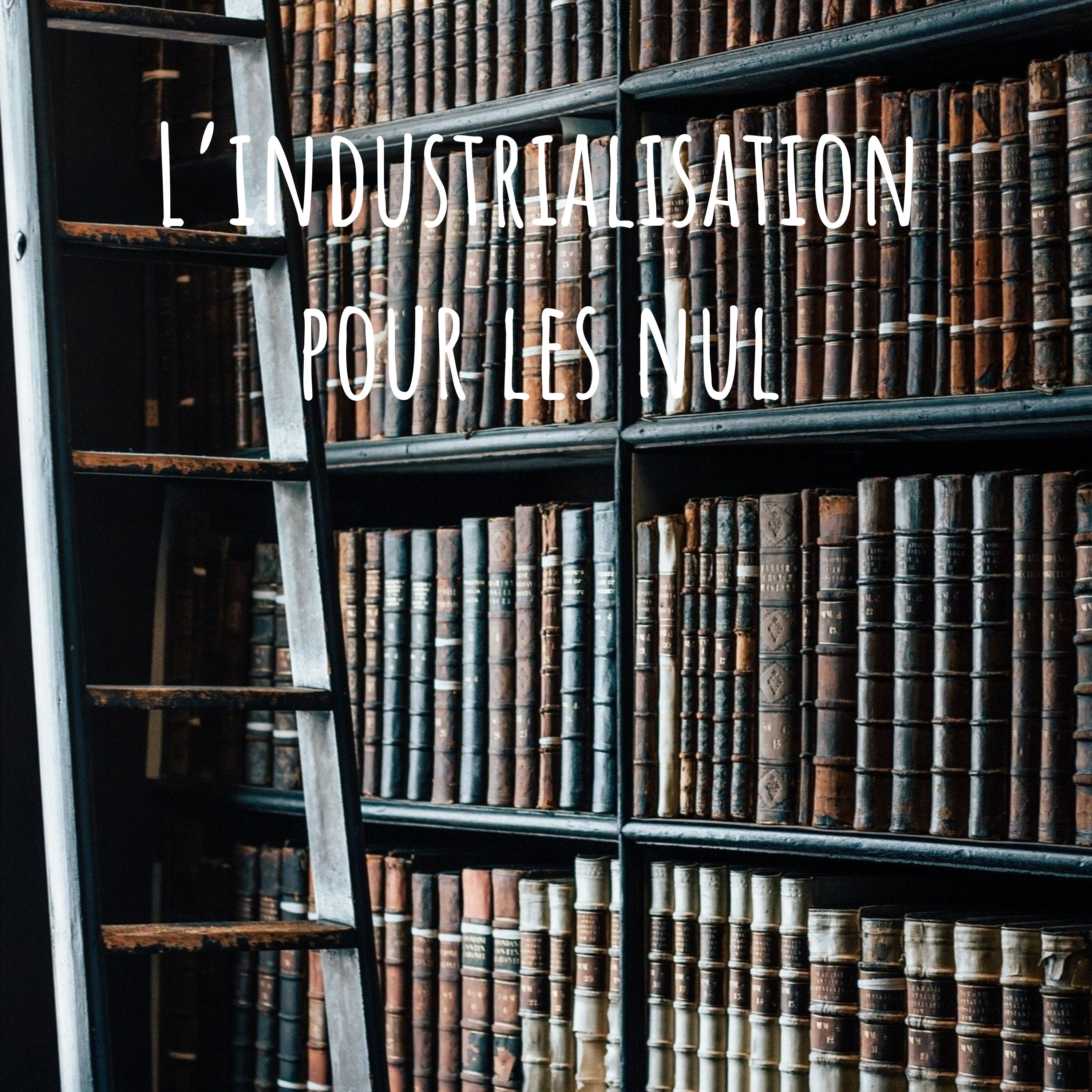 L'industrialisation pour les nuls