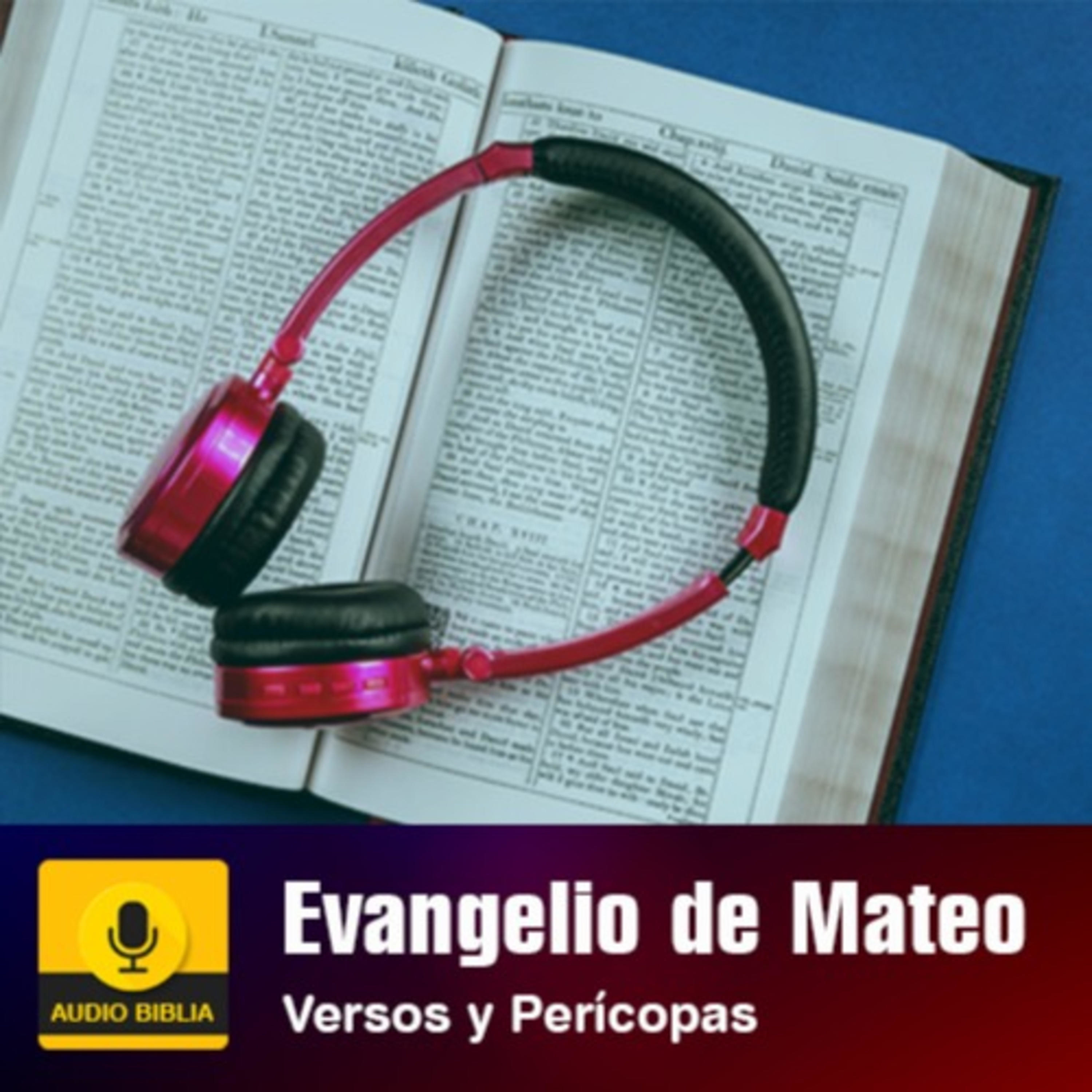 Buscando a Jesucristo Evangelio de Mateo