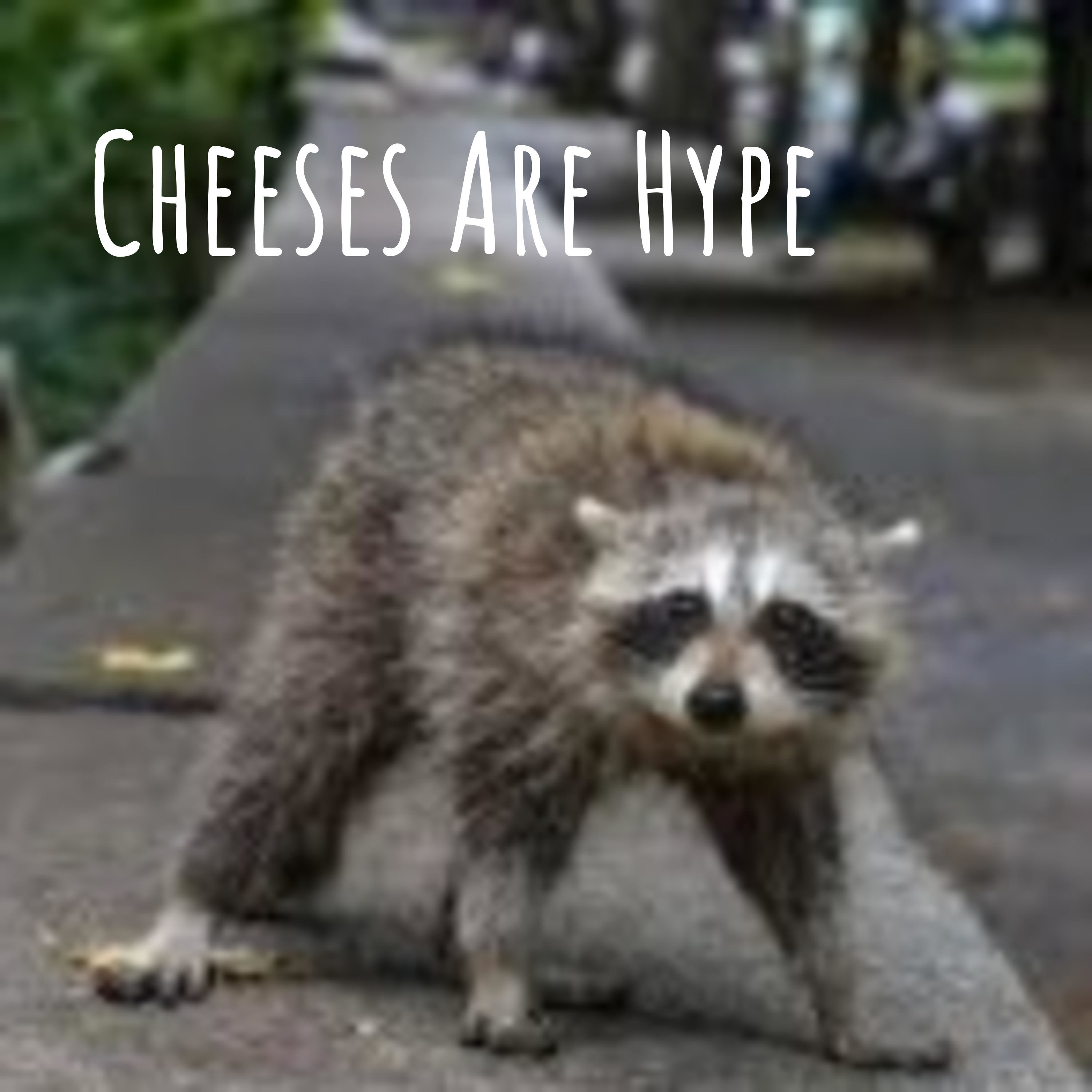 Cheeses Are Hype