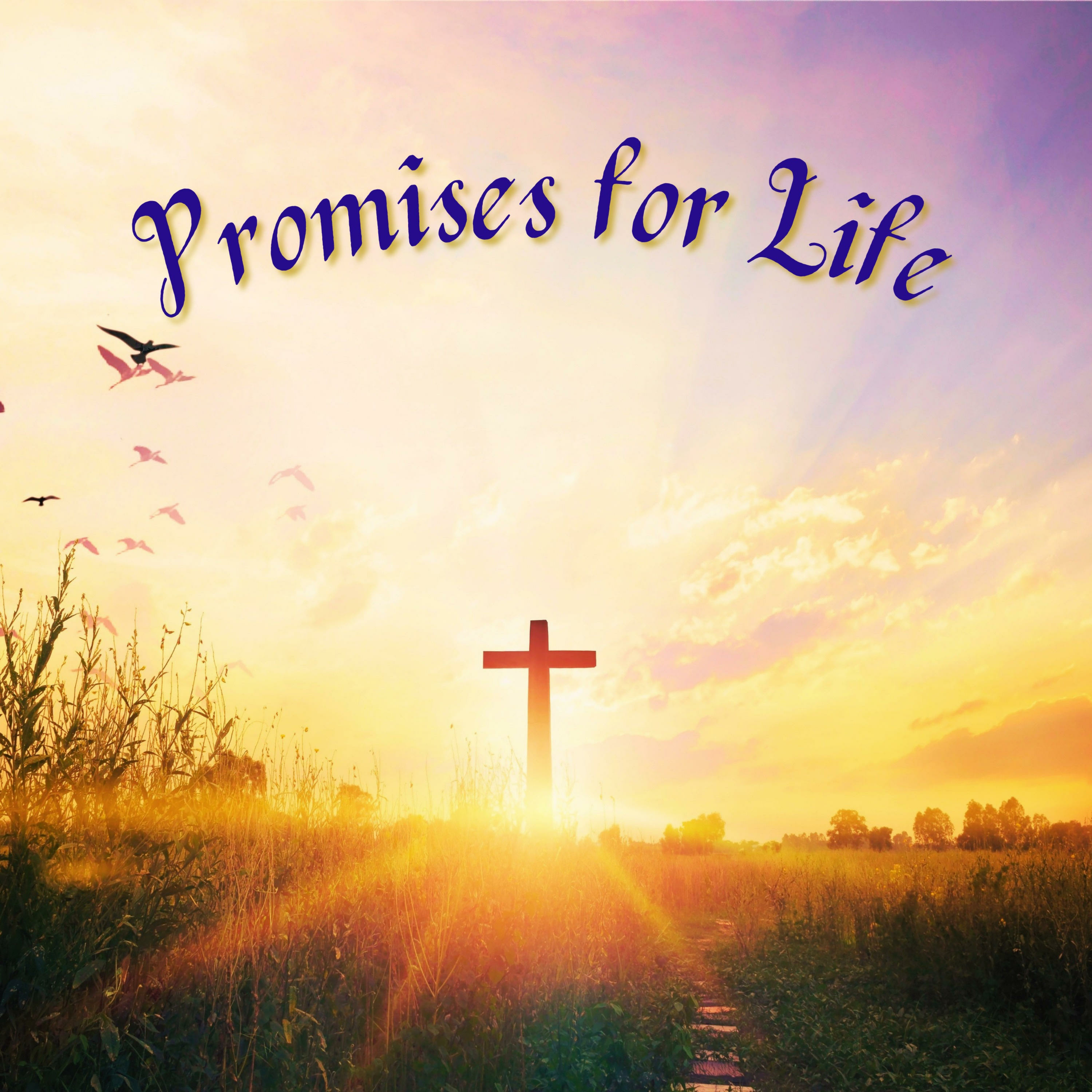 Promises for Life podcast artwork