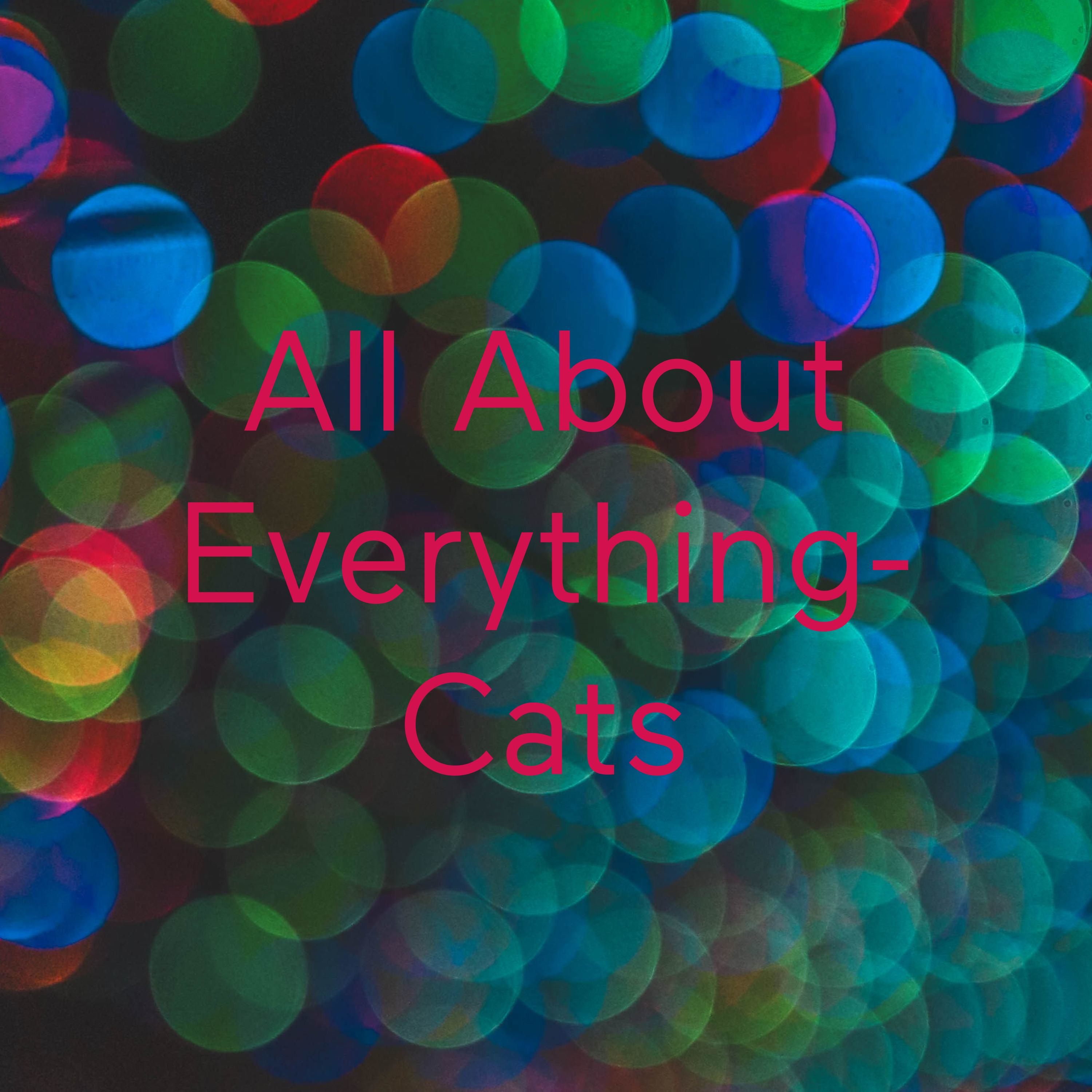 All About Everything- Cats