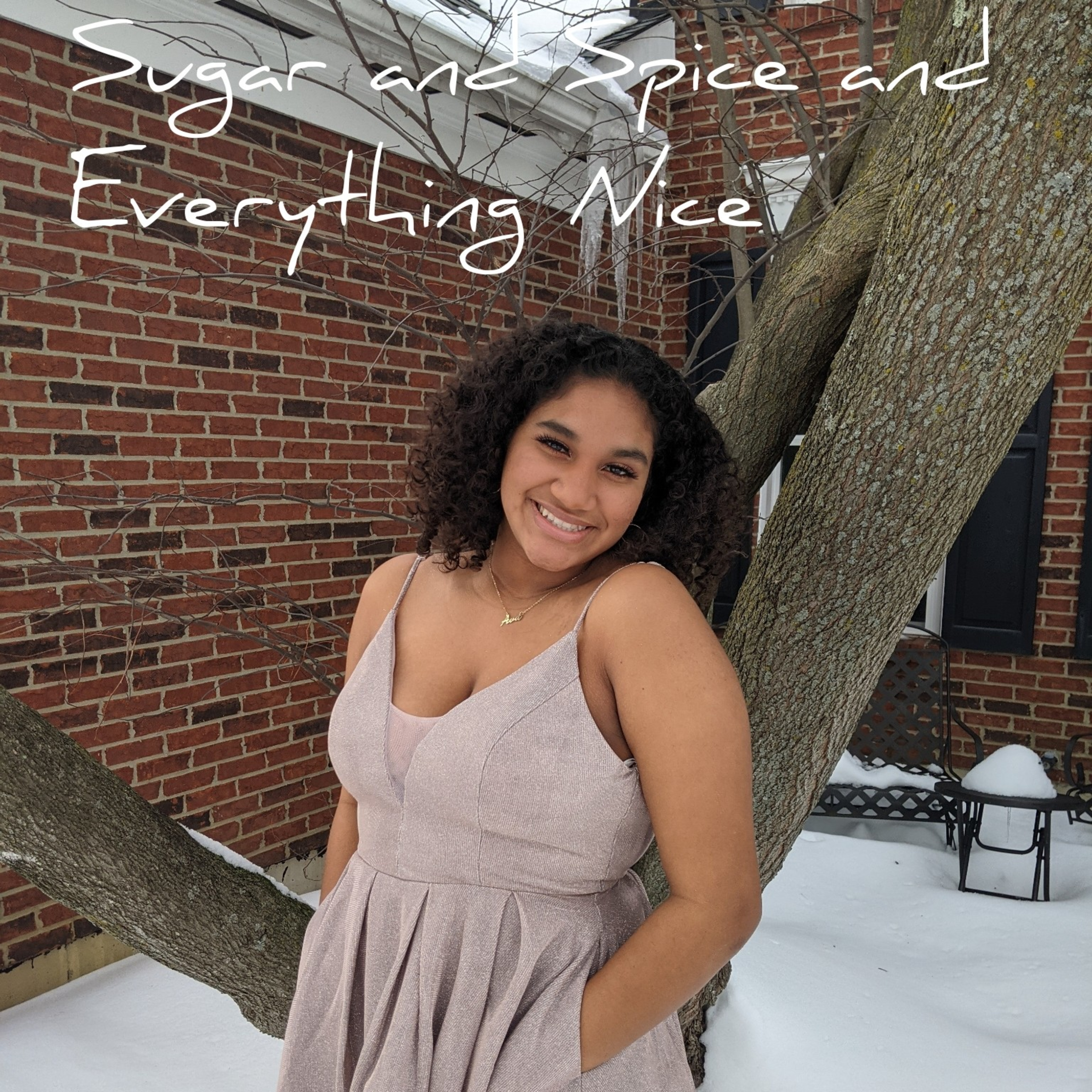 Sugar and Spice and Everything Nice podcast artwork