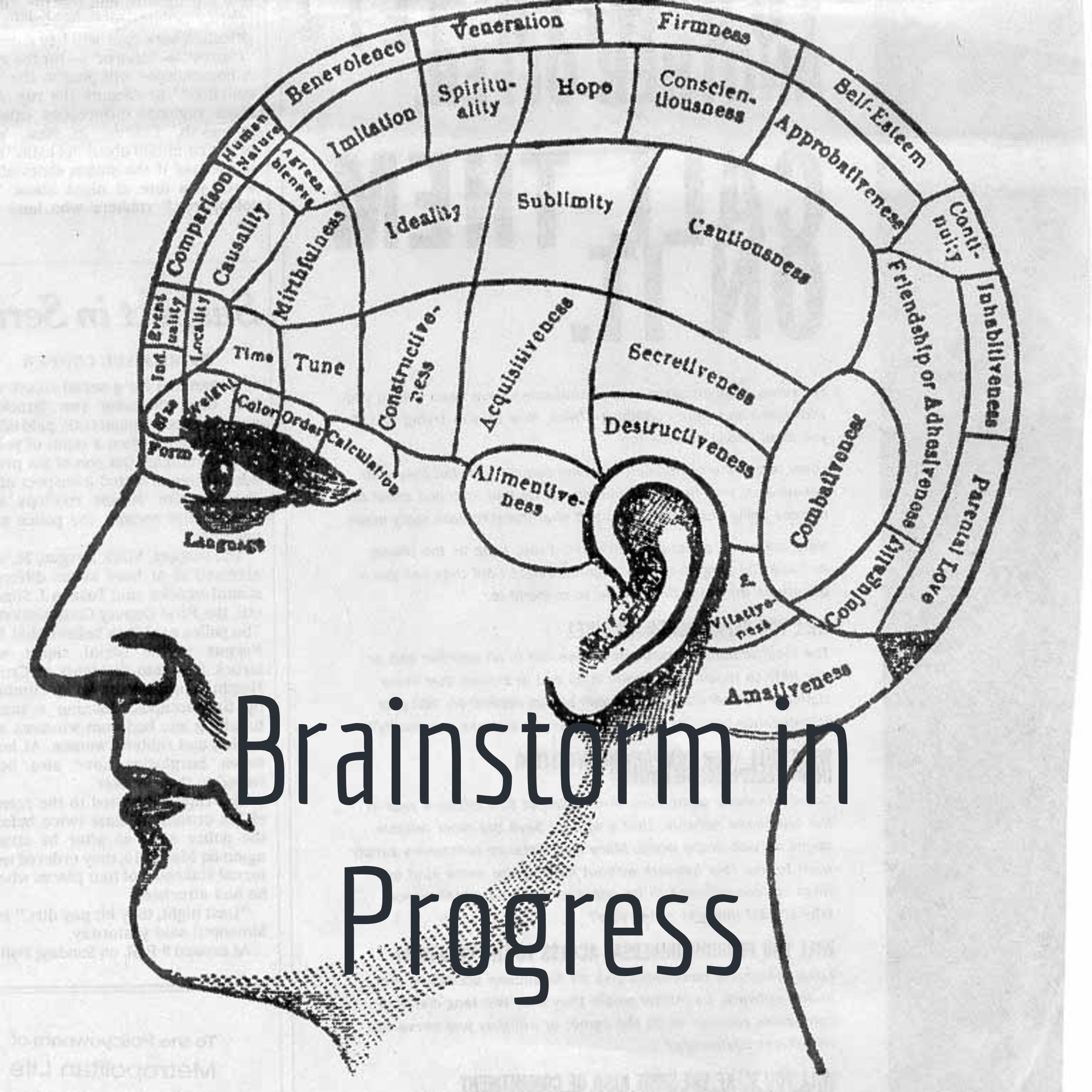 Brainstorm in Progress