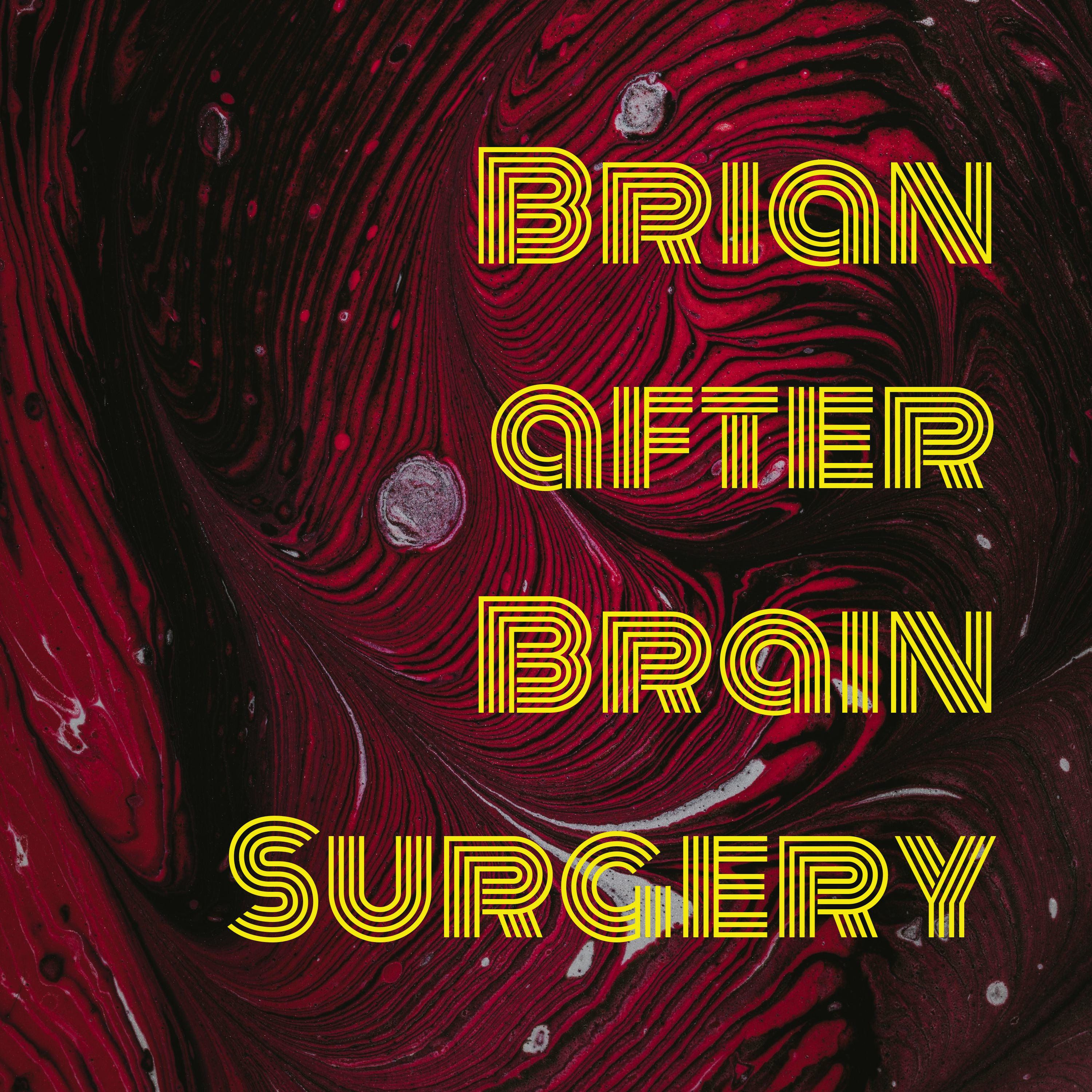 Brian after Brain Surgery