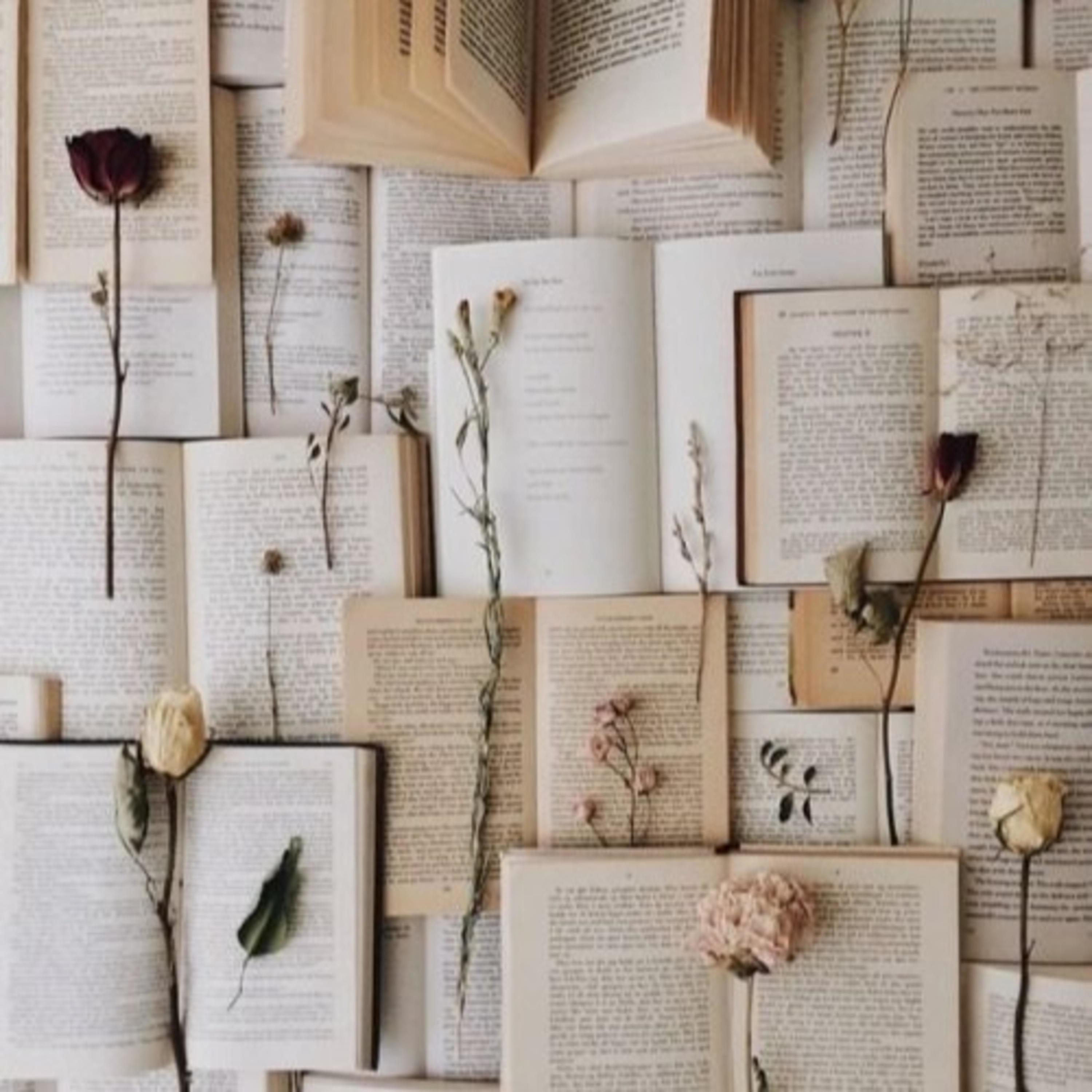 Sánchez Ramos Samari Selene, Tolentino Arroyo Azucena y Torres Cristóbal Fátima Anayatsi cover art