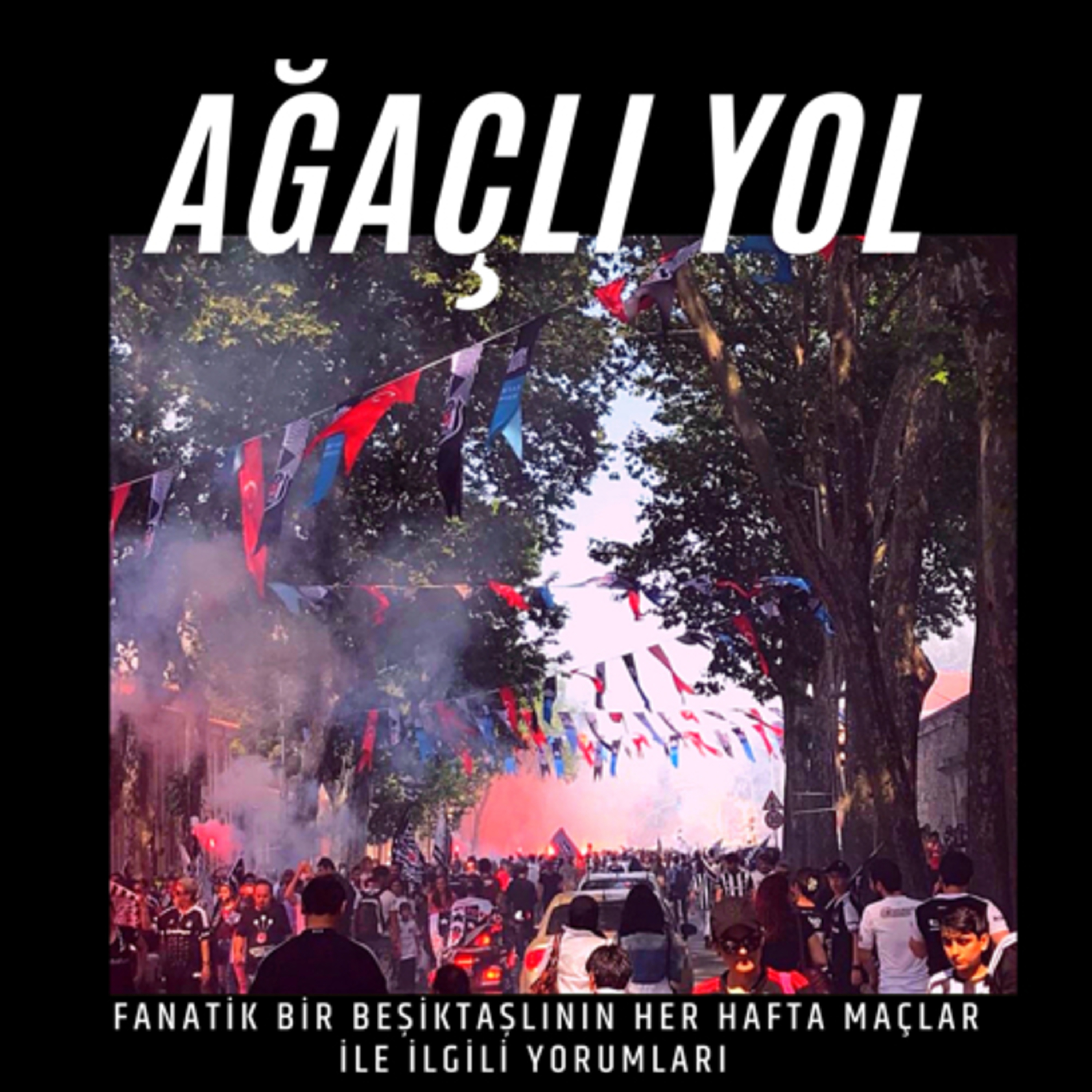 AĞAÇLI YOL cover