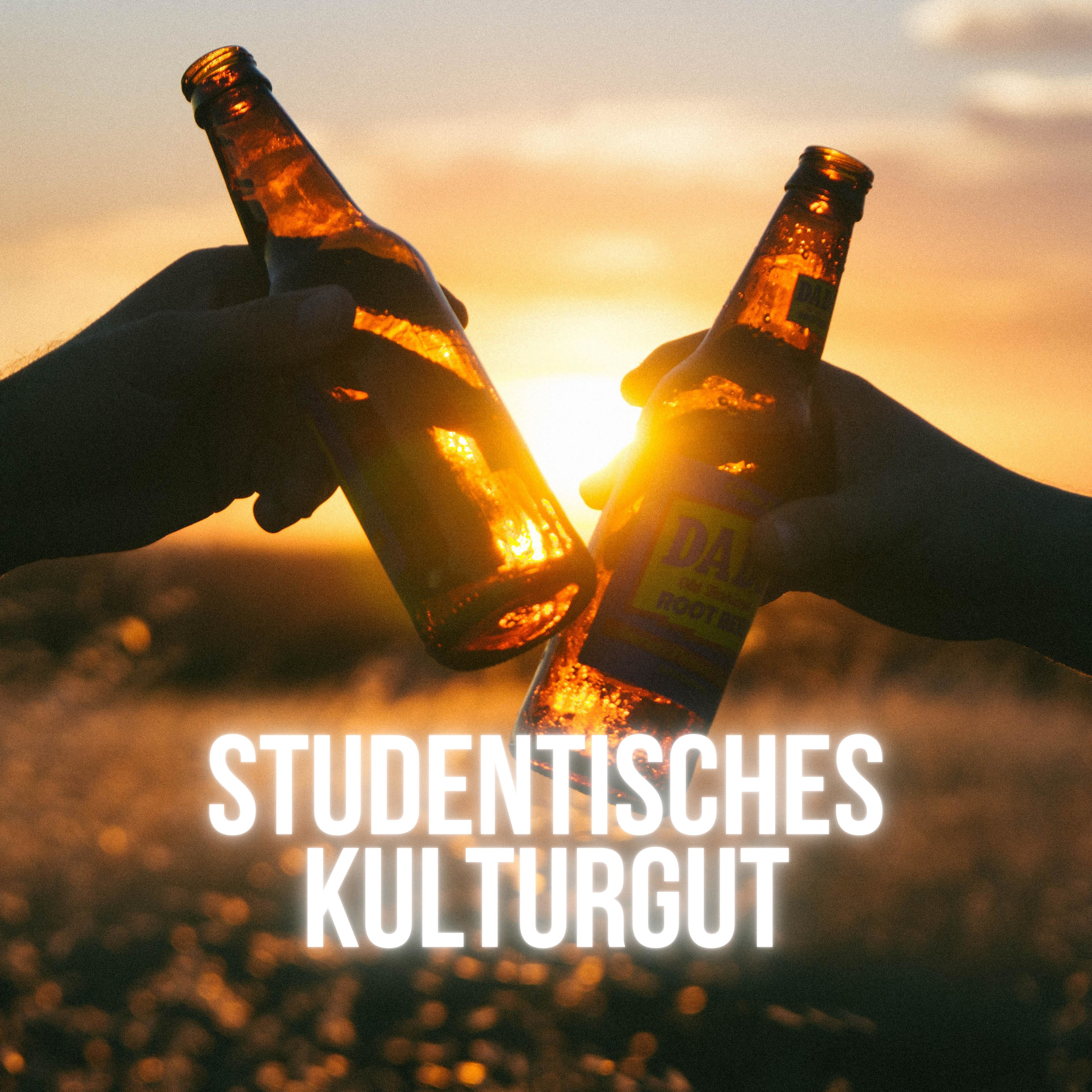 Studentisches Kulturgut - Der inoffizielle Ratgeber fürs Studium (Von Studierenden, für Studierende)