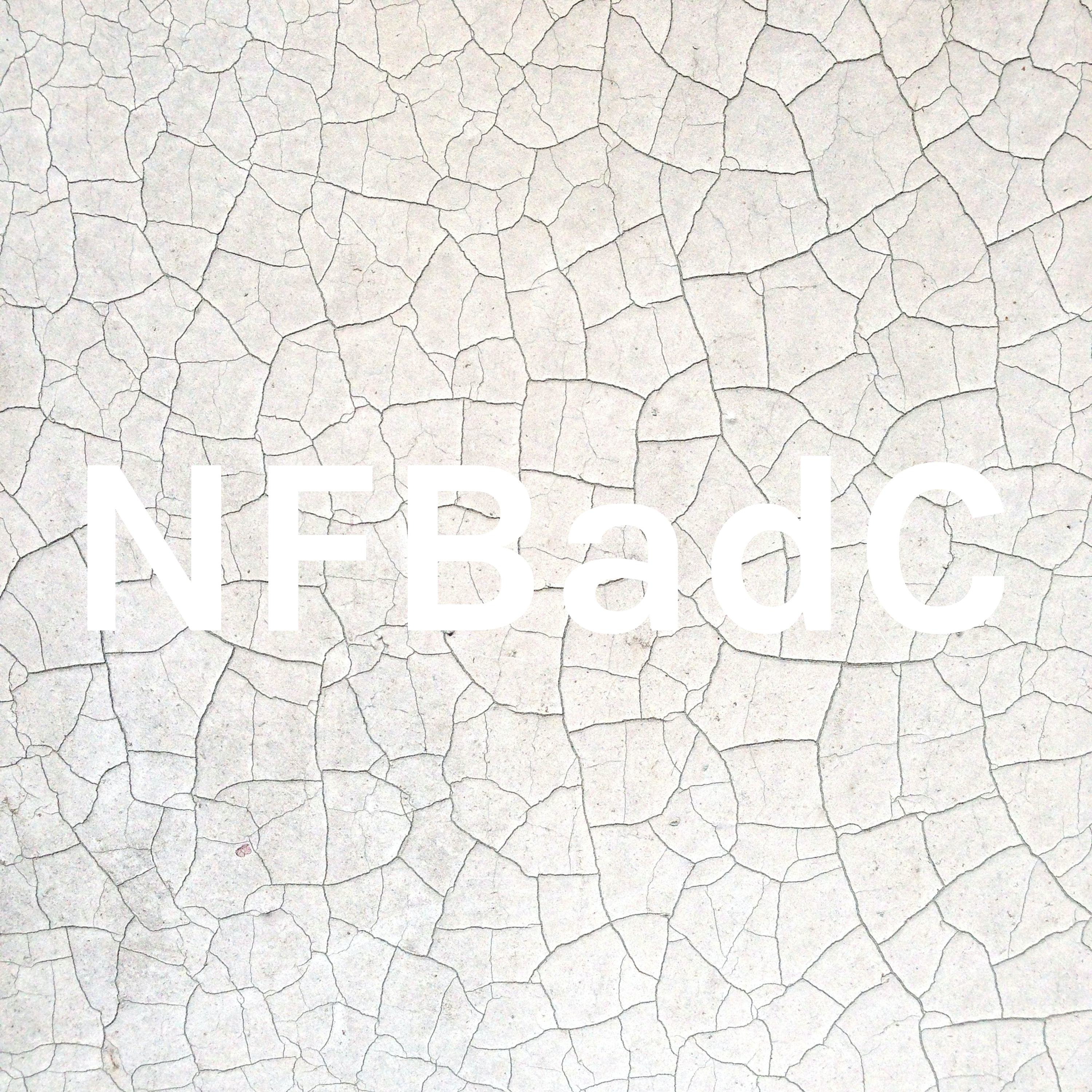 NFBadC