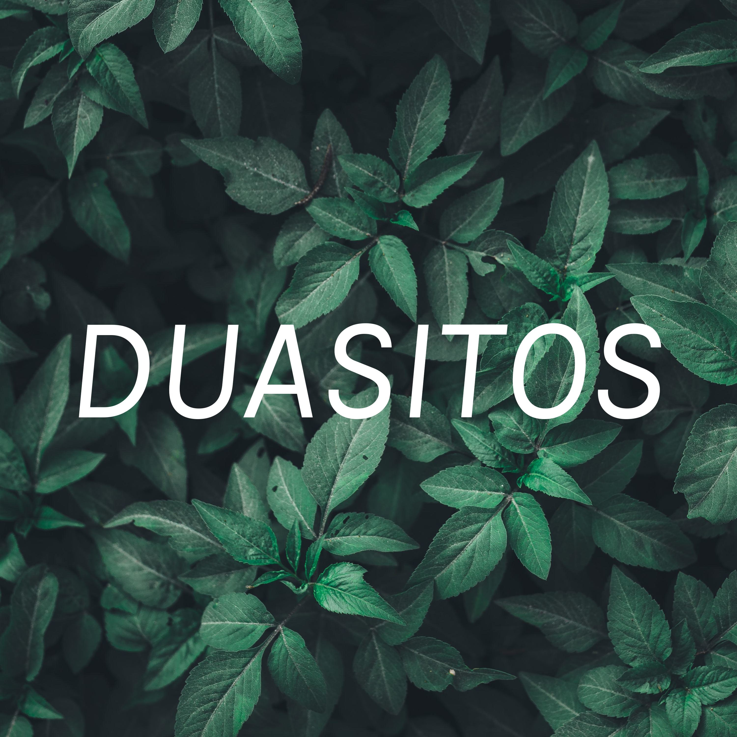 DUASITOS