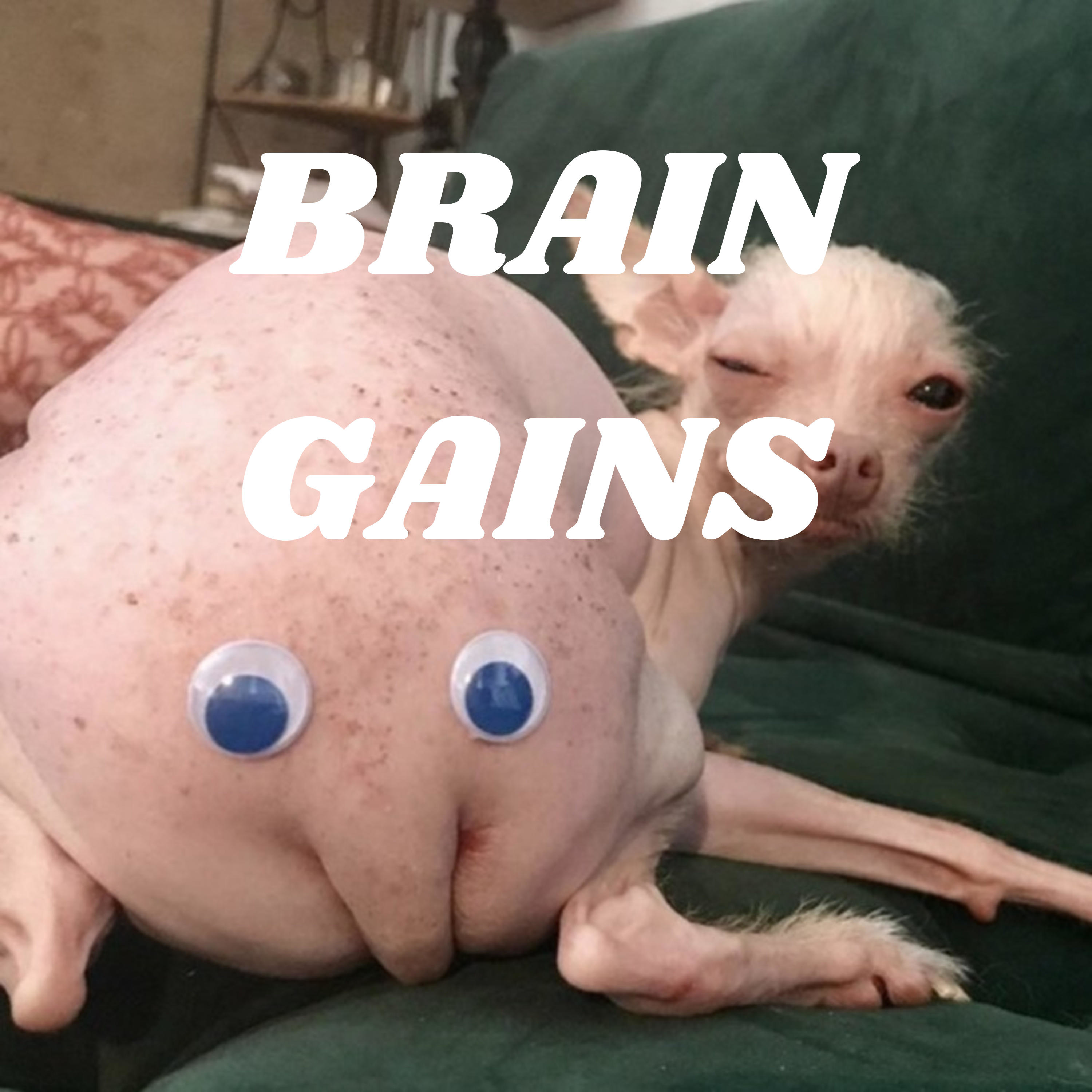 BRAIN GAINS 