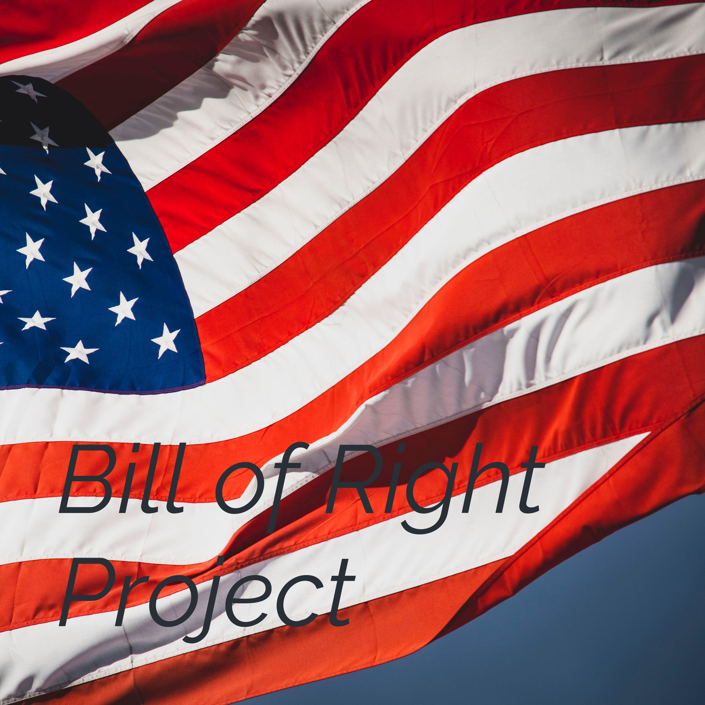Bill of Right Project 