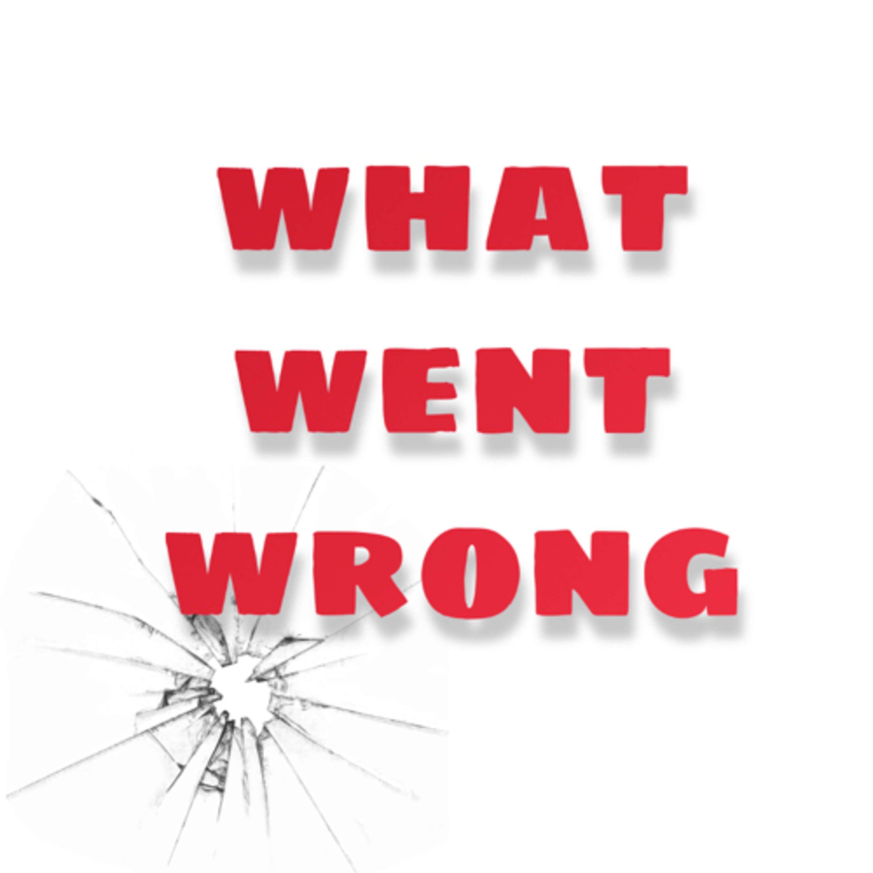 What Went Wrong