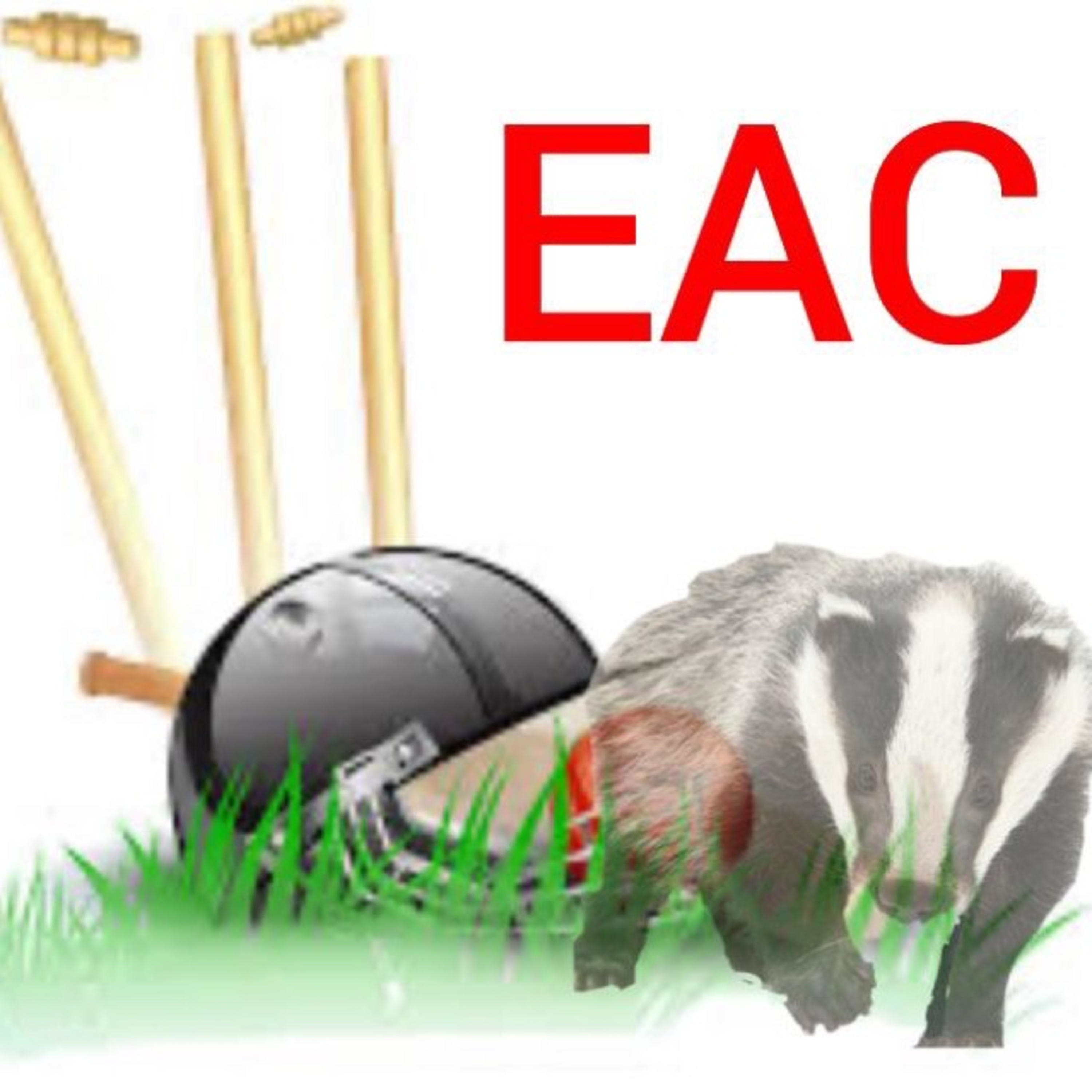 Everything About Cricket 