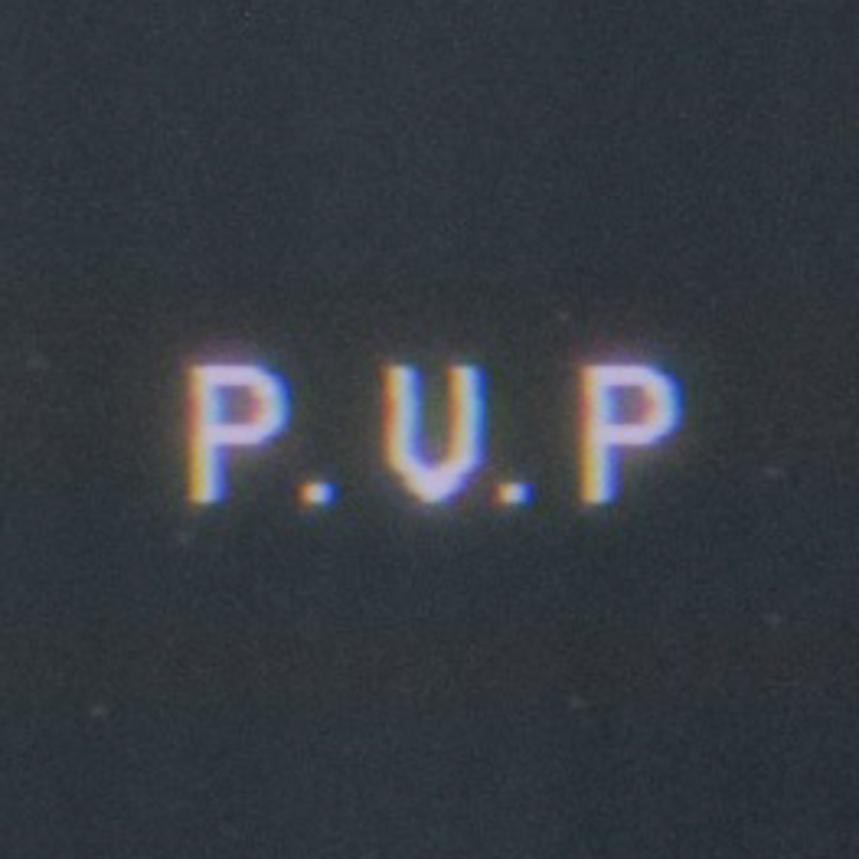 P.V.P