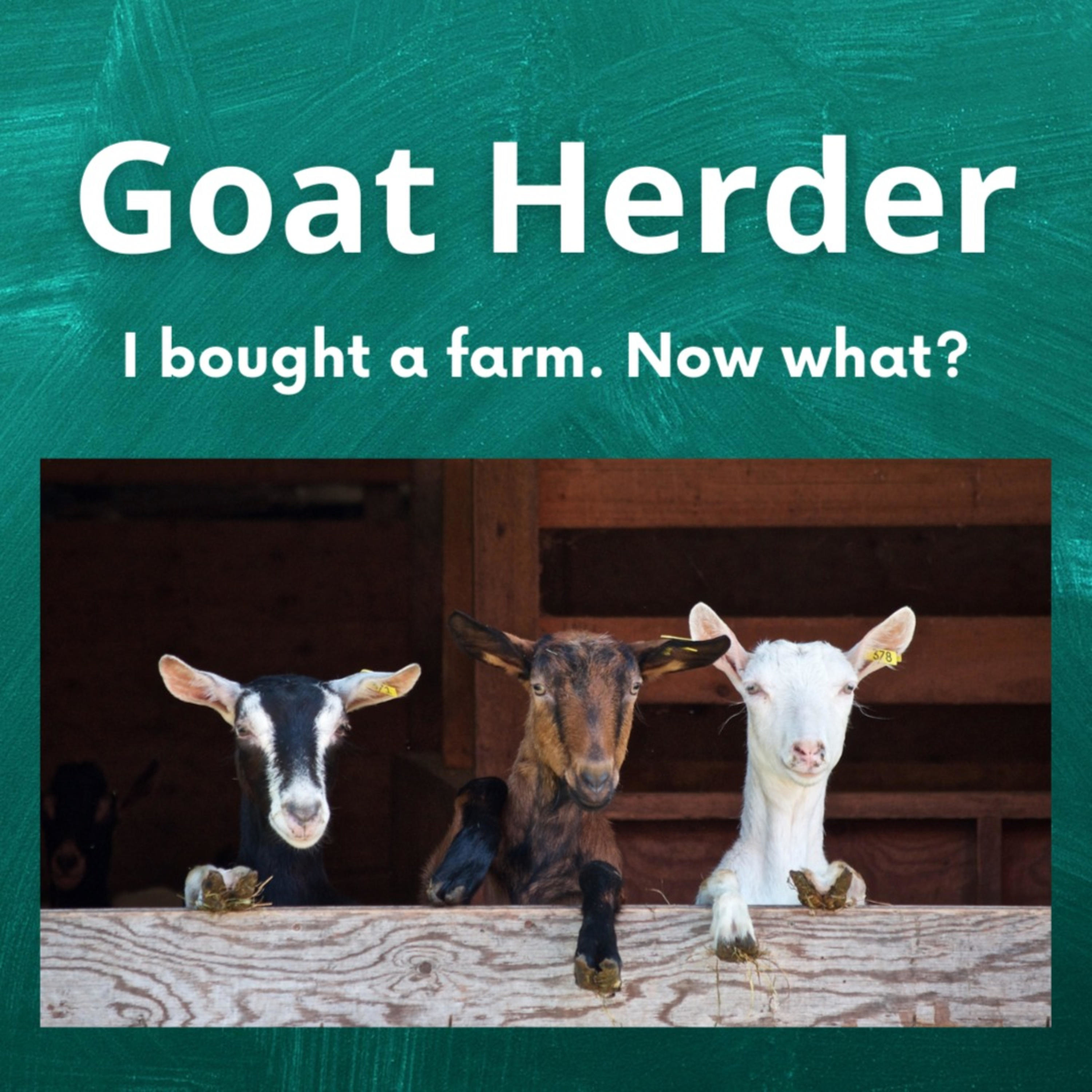 Goat Herder podcast artwork