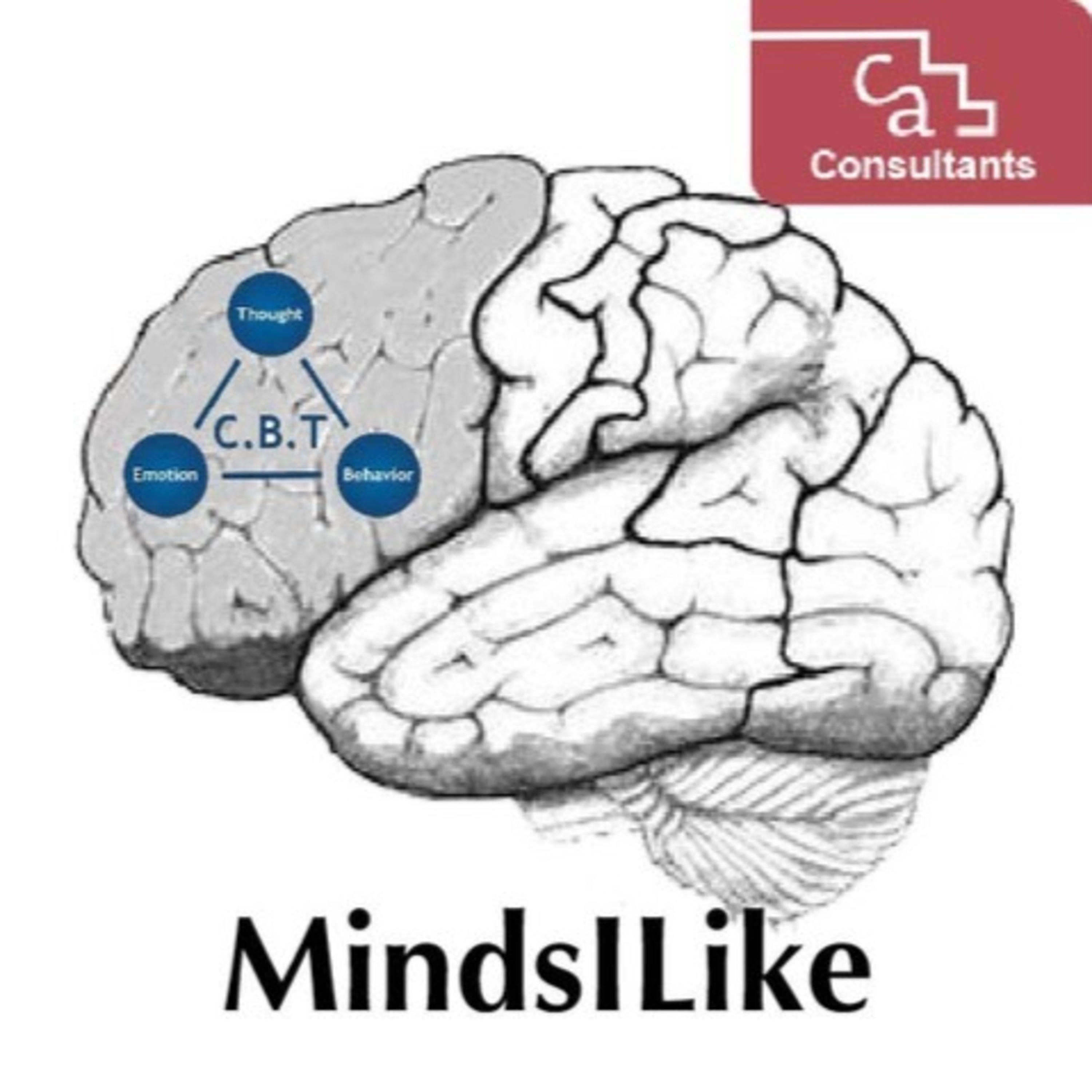 MindsILike presented by CA Consultants Counselling & Community Practicewww.caconsultants.org