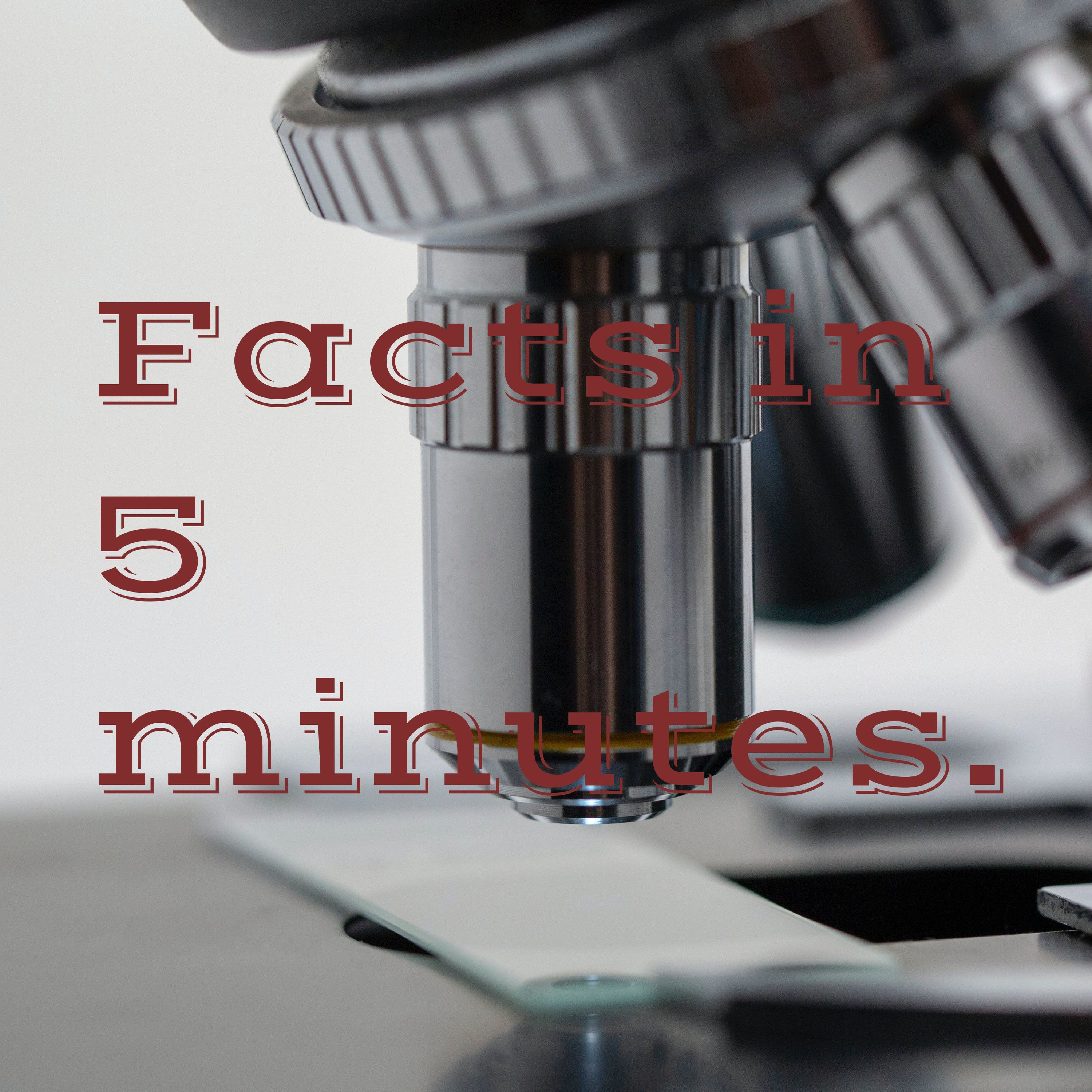 Fun Facts In 5 Minutes.