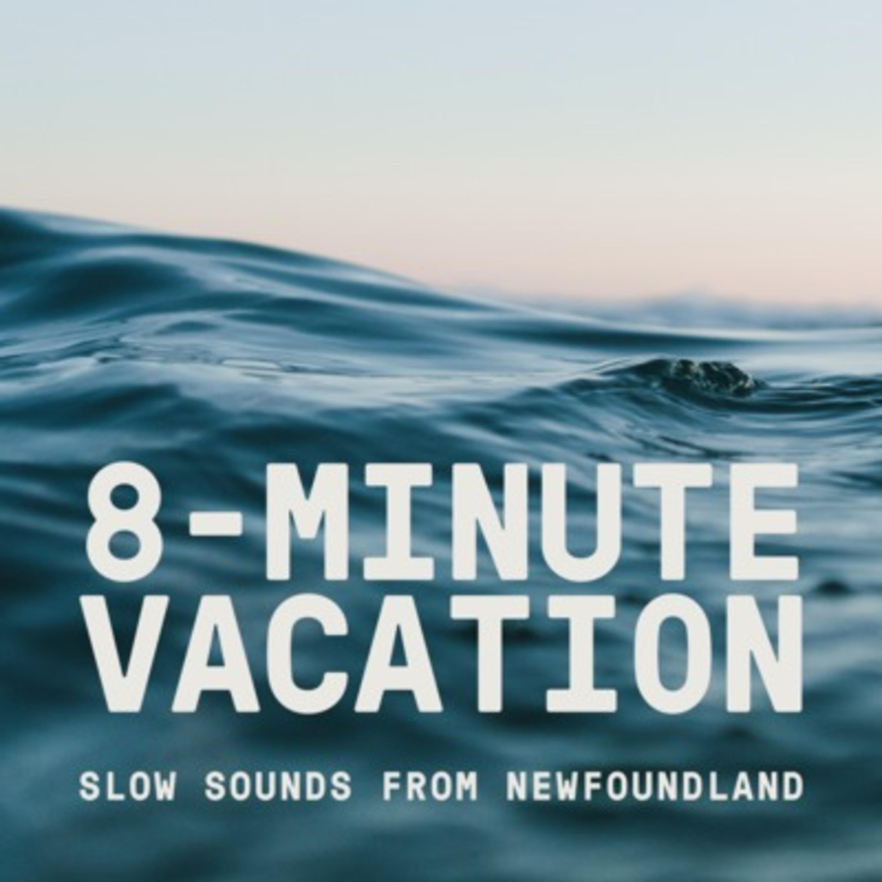 Mexico City early morning bird songs and light traffic Mexico City early morning bird songs and light traffic