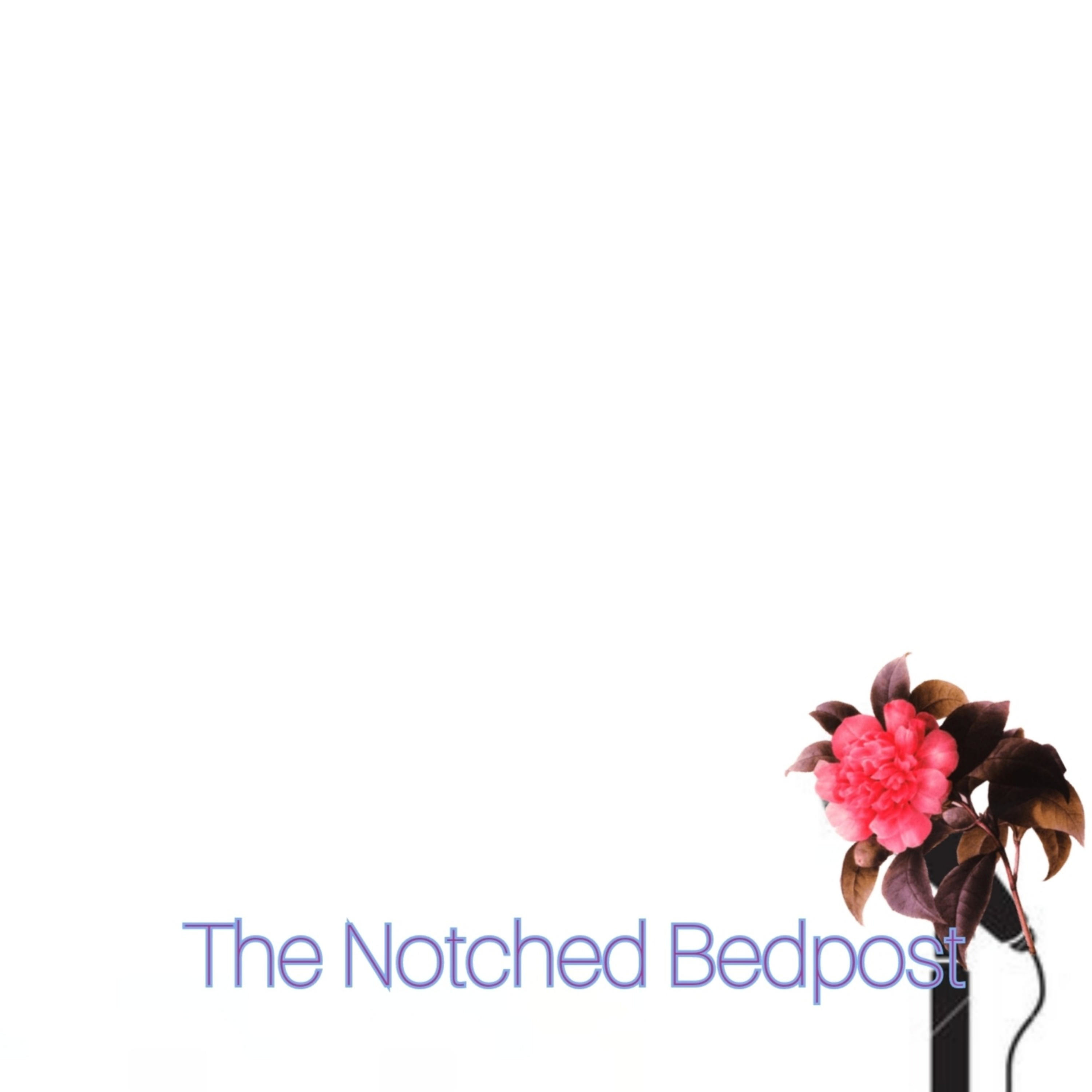 The Notched Bedpost