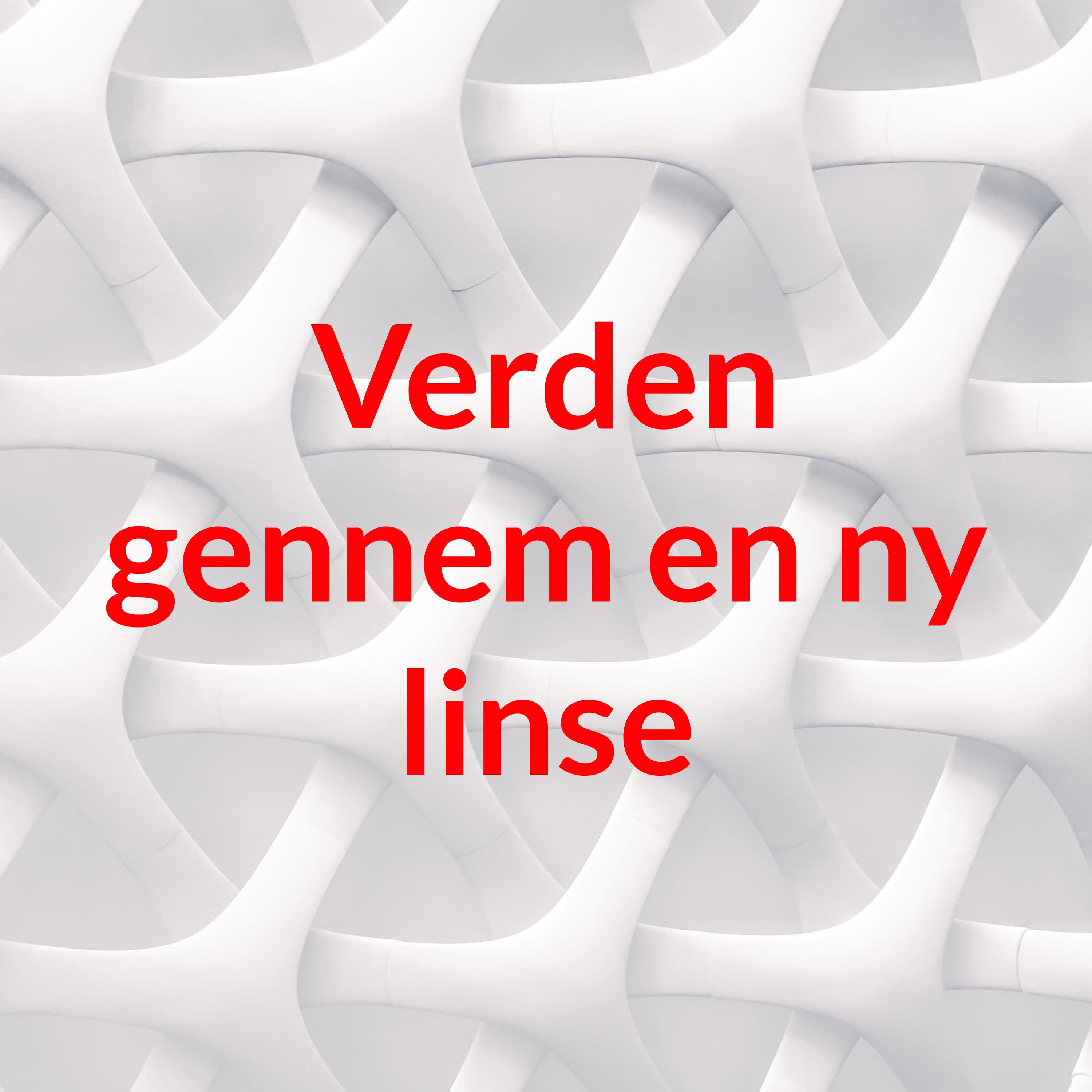 Verden gennem en ny linse af Niels Hvorslev