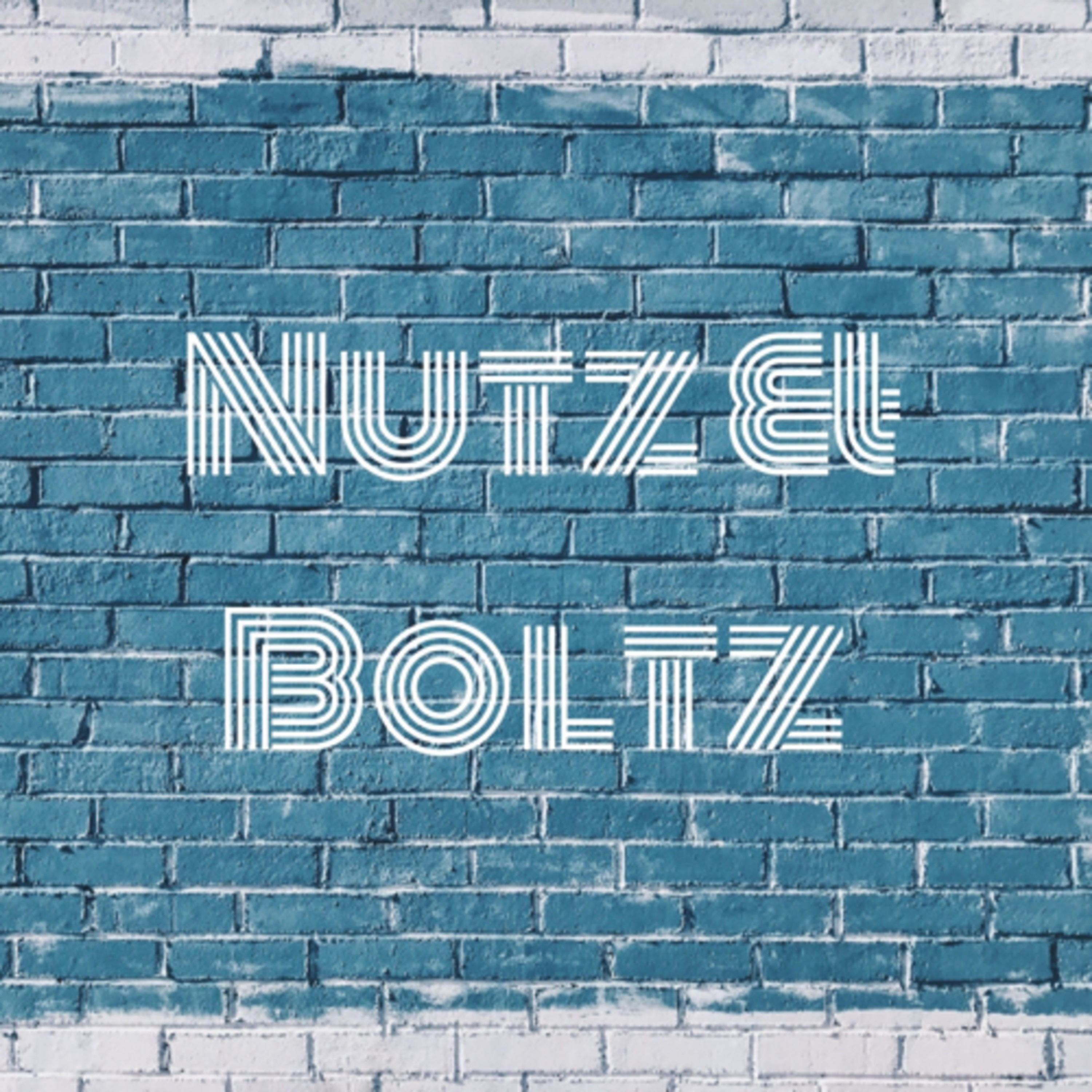 The Nutz&Boltz Show The Nutz&Boltz Show