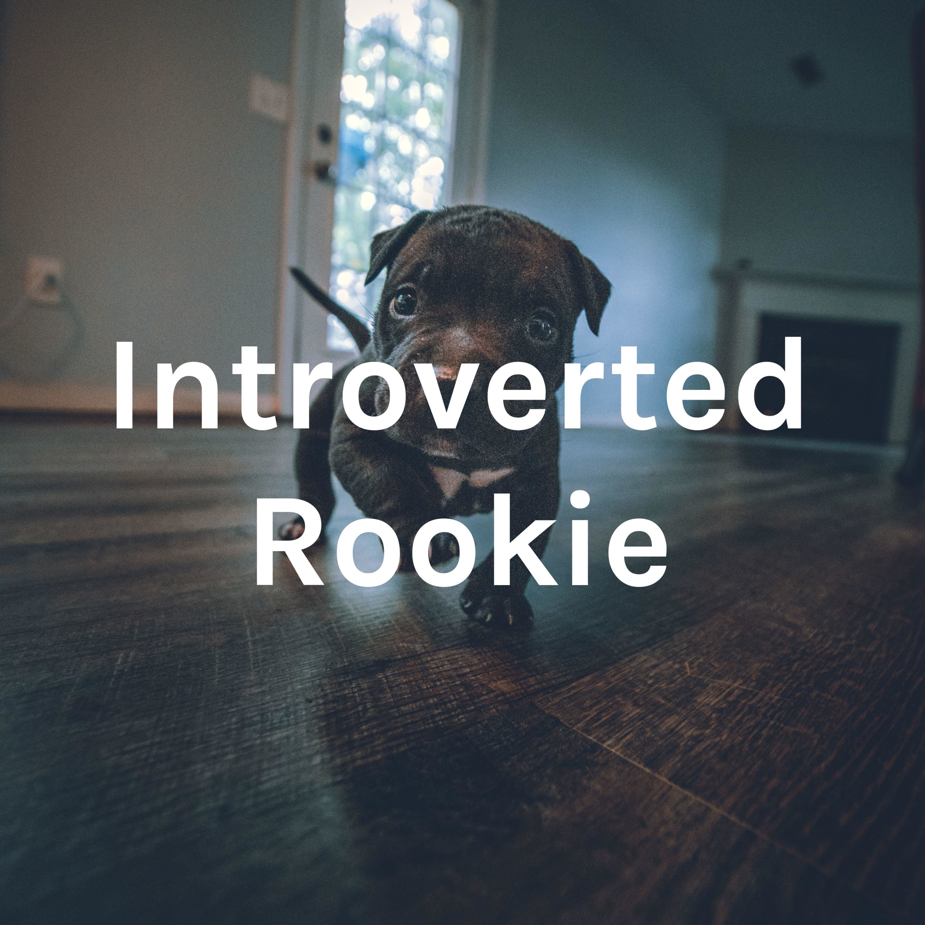 Introverted Rookie