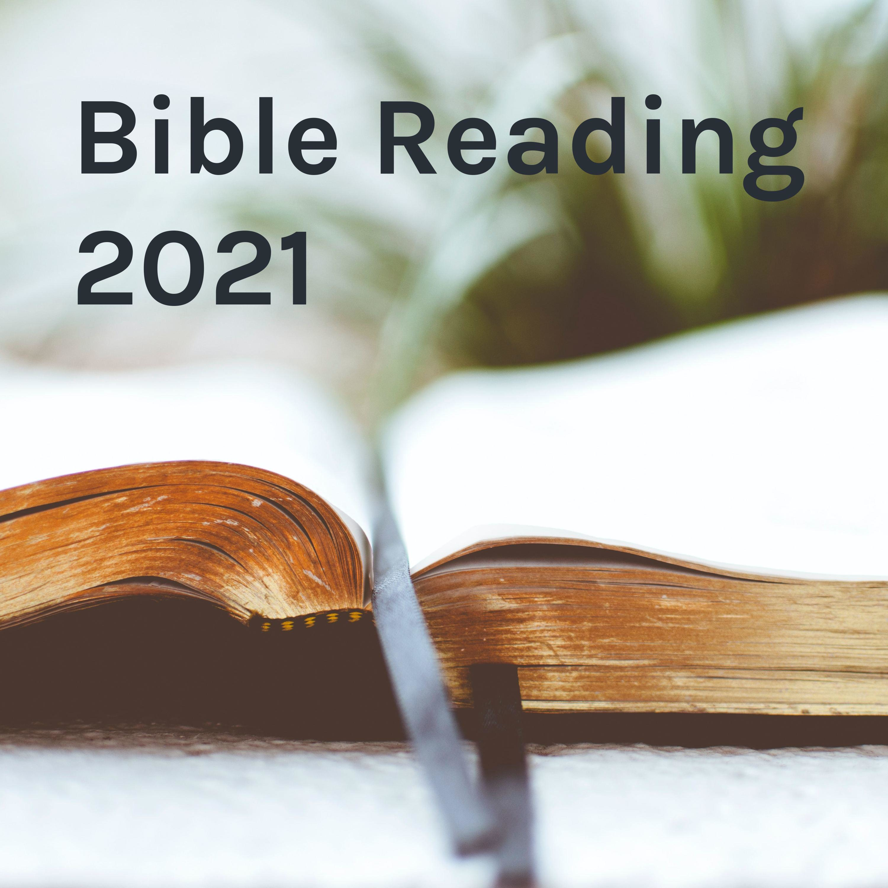 Bible Reading - 5 day plan