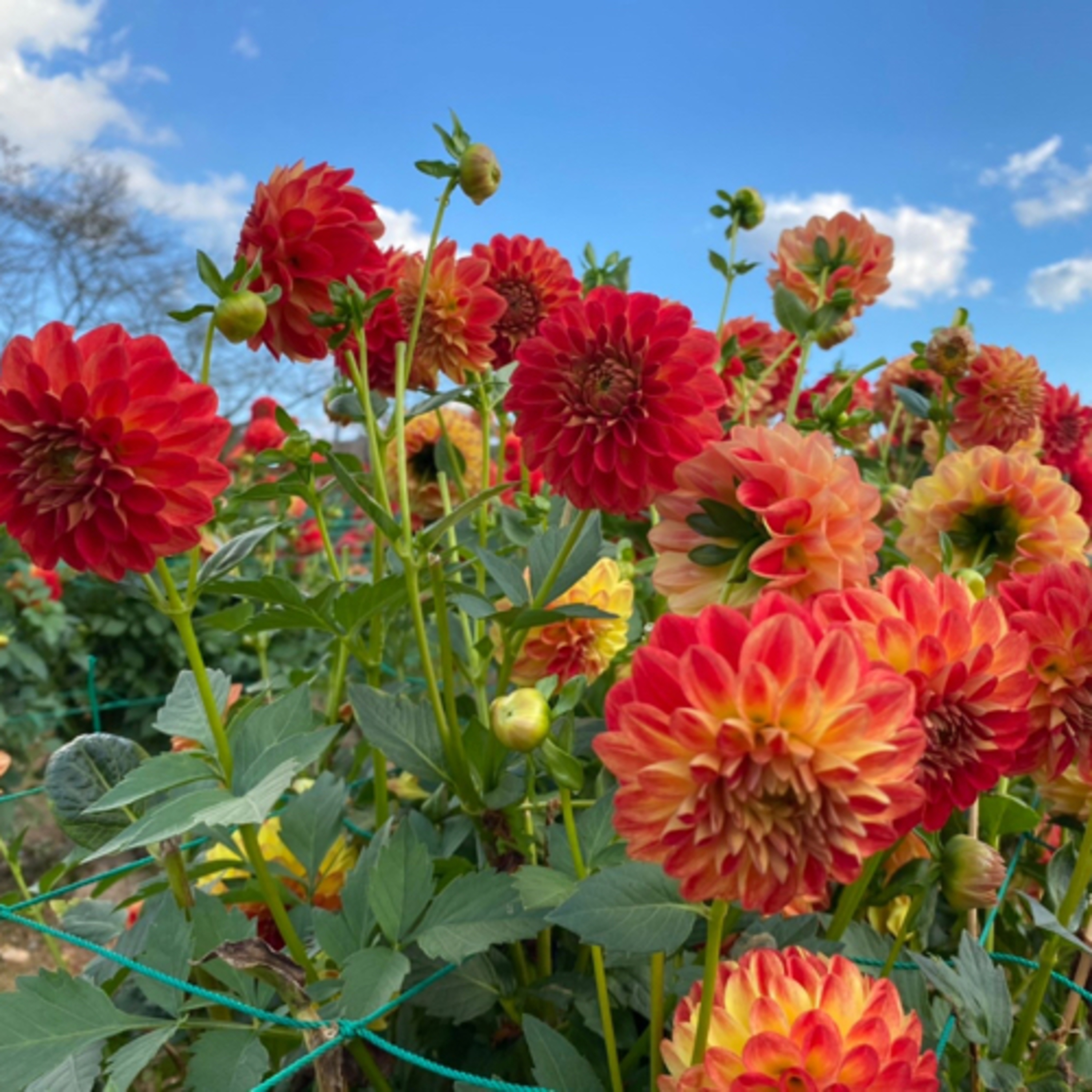 みんなの雑談広場