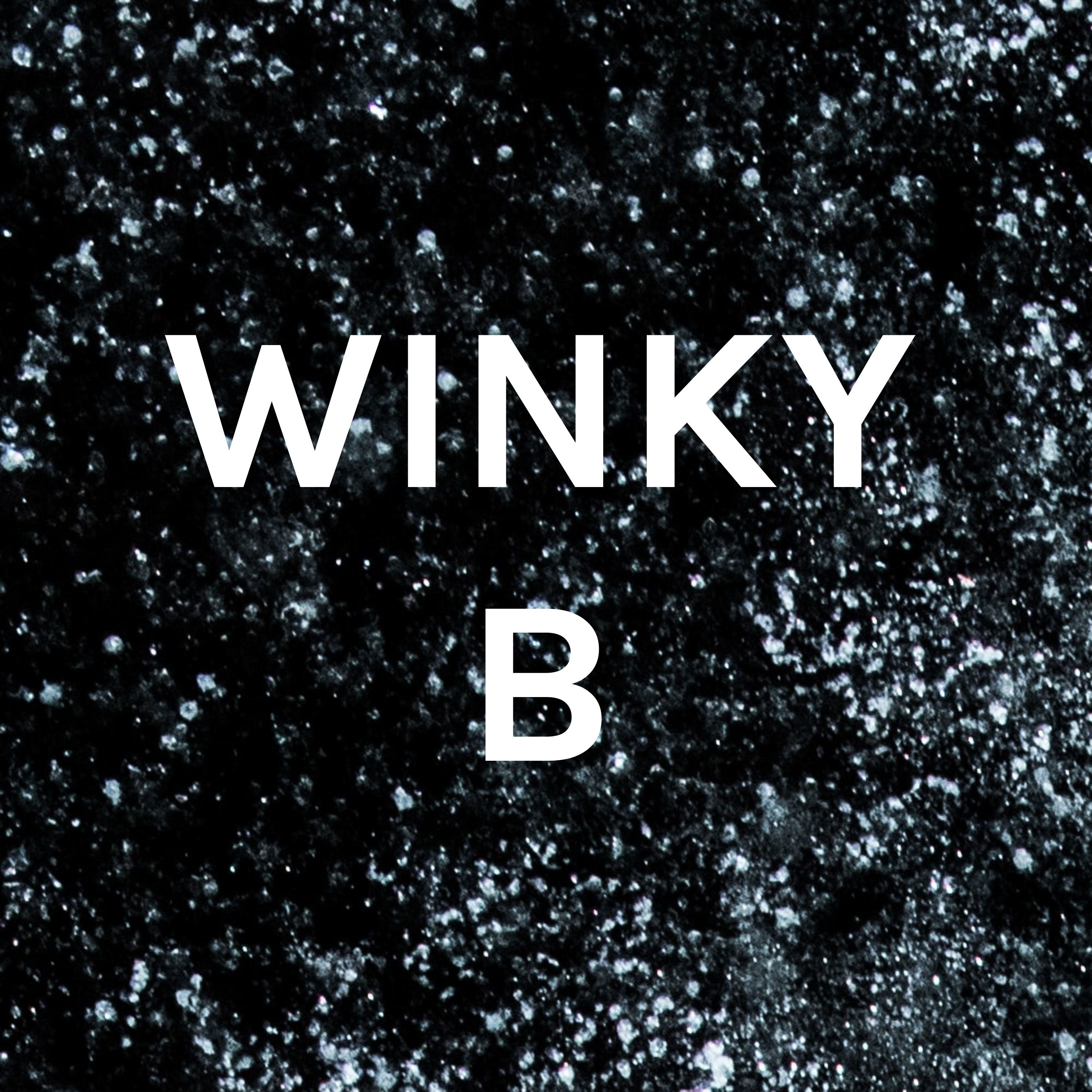 Motivational Talks with Winky B