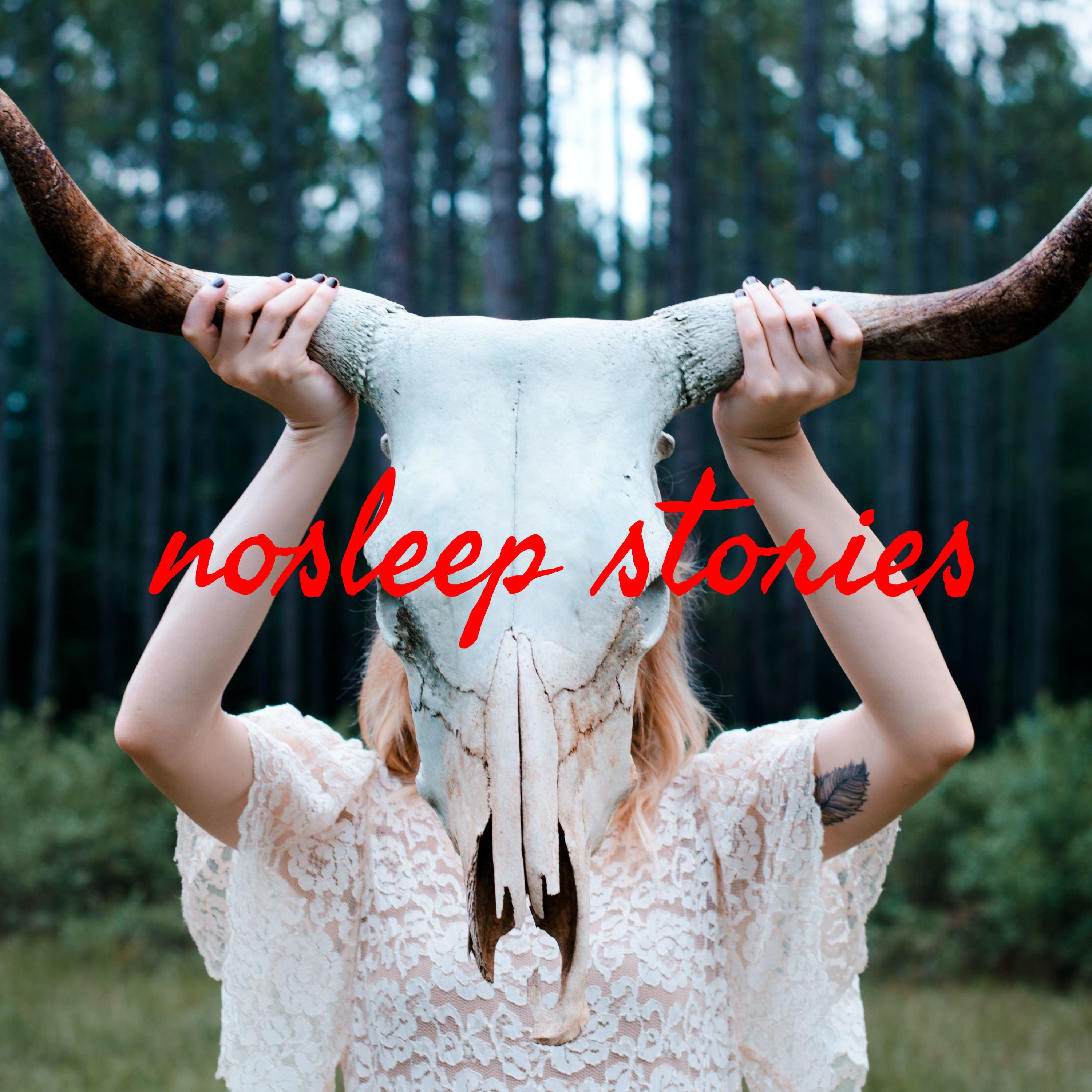 nosleep stories