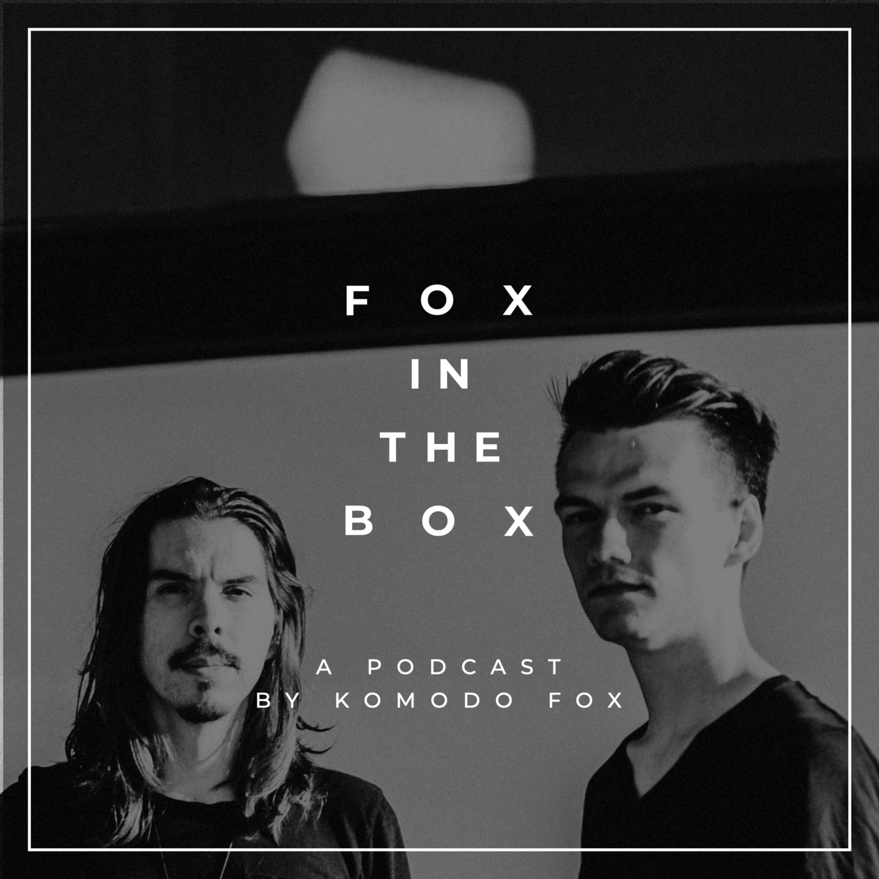 Fox in the Box
