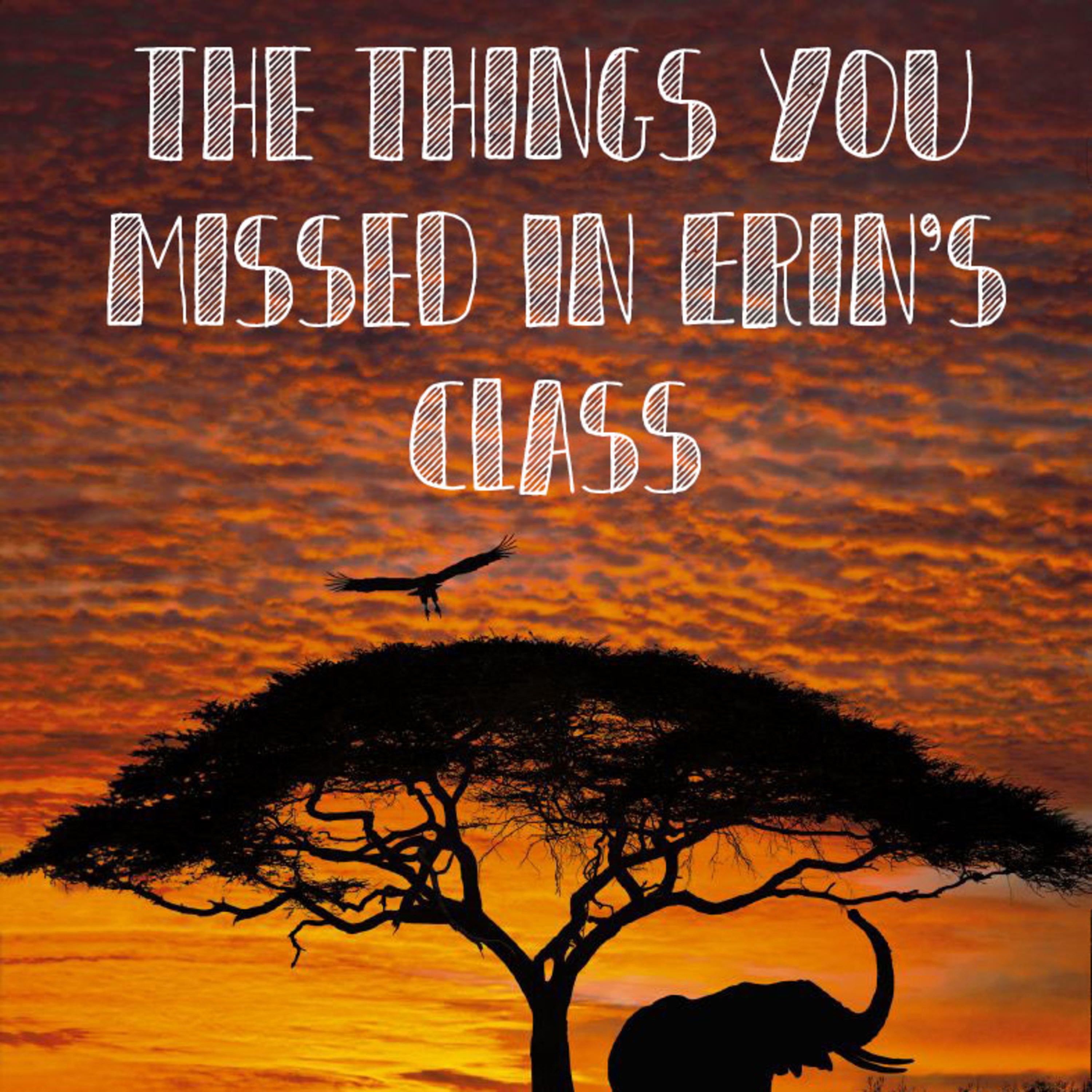 The Things You Missed in Erin's Class