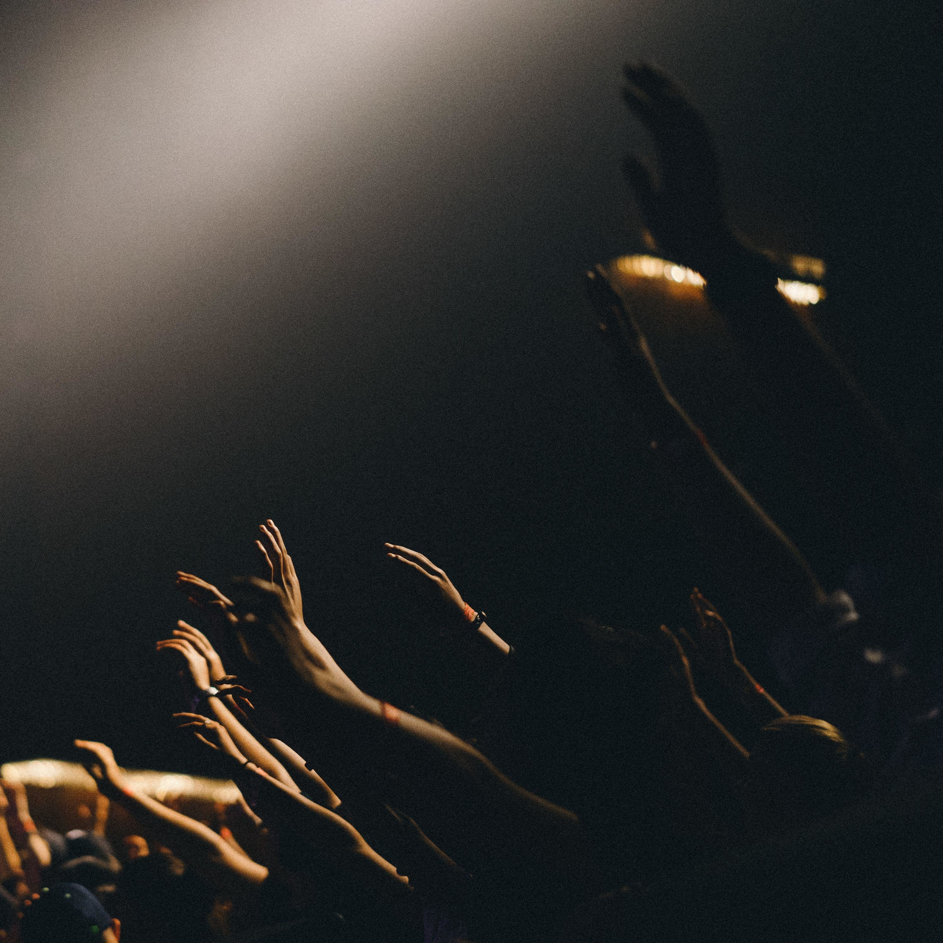 a passenger on a democratic ship