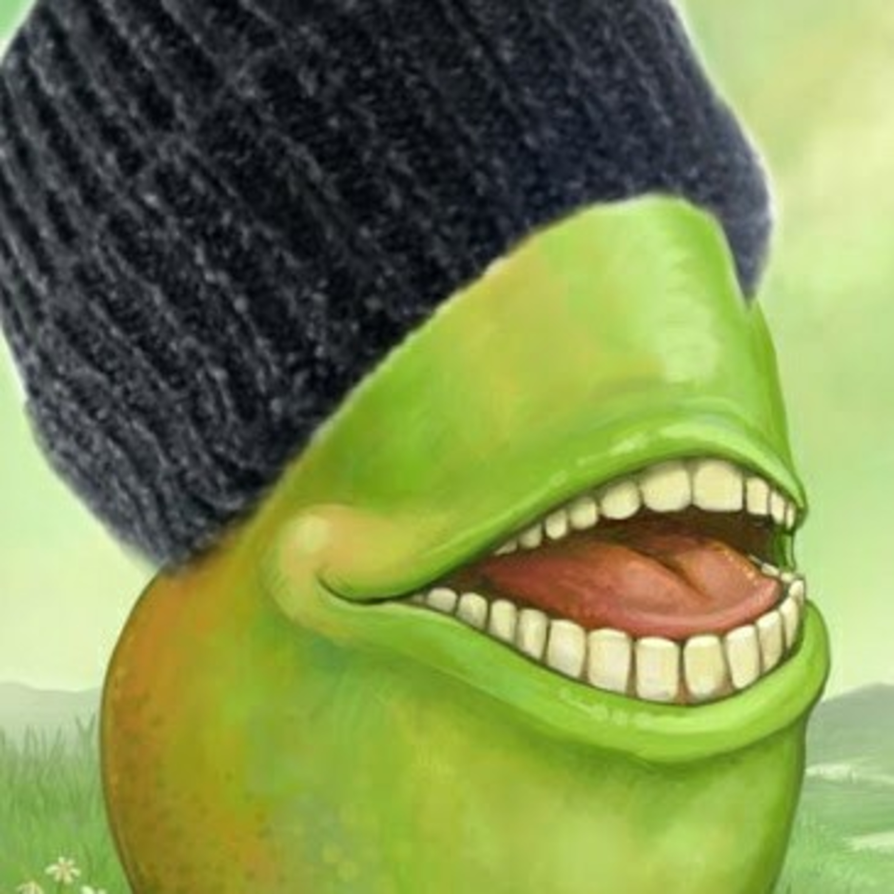 The Beanie Hut Jr's.