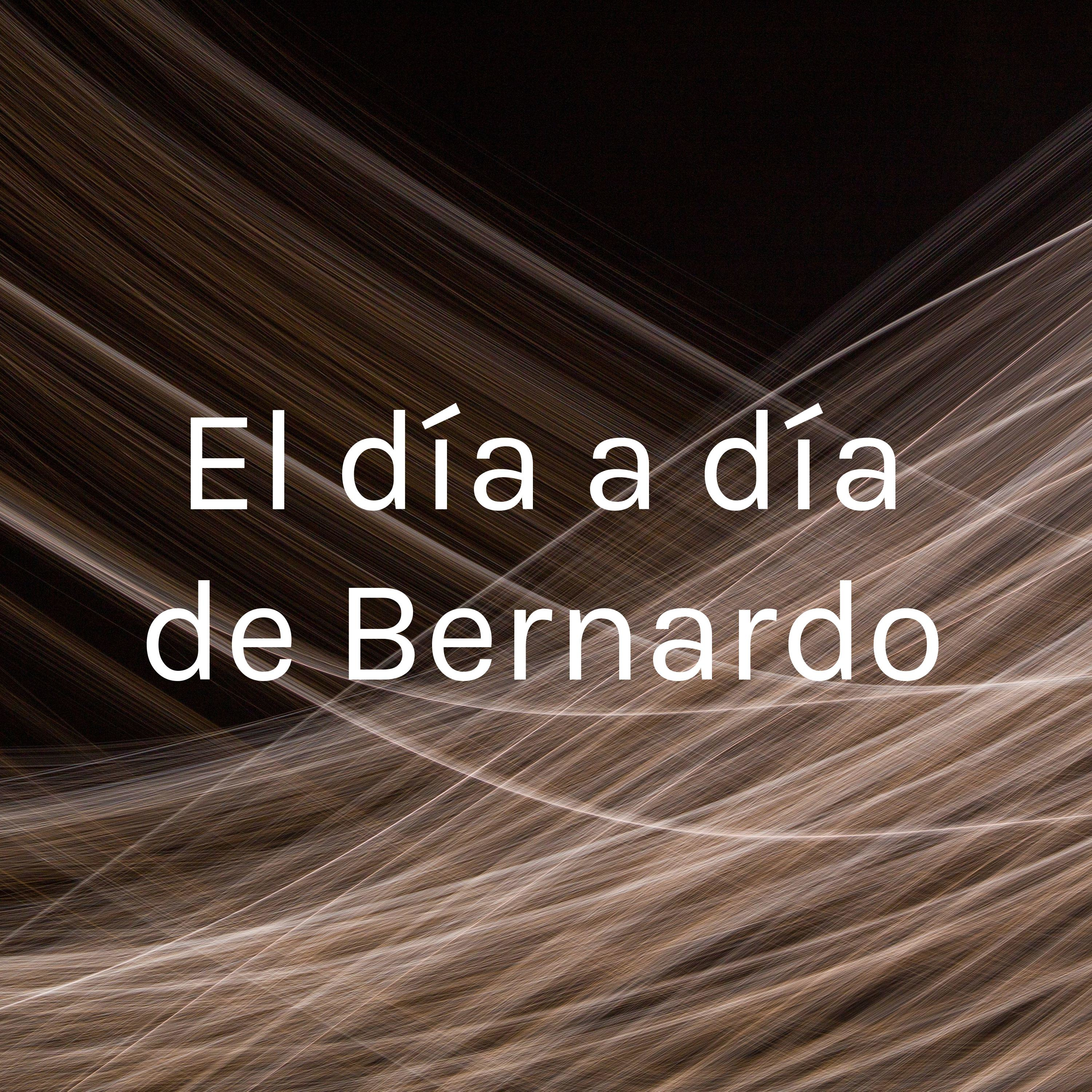 El día a día de Bernardo podcast artwork