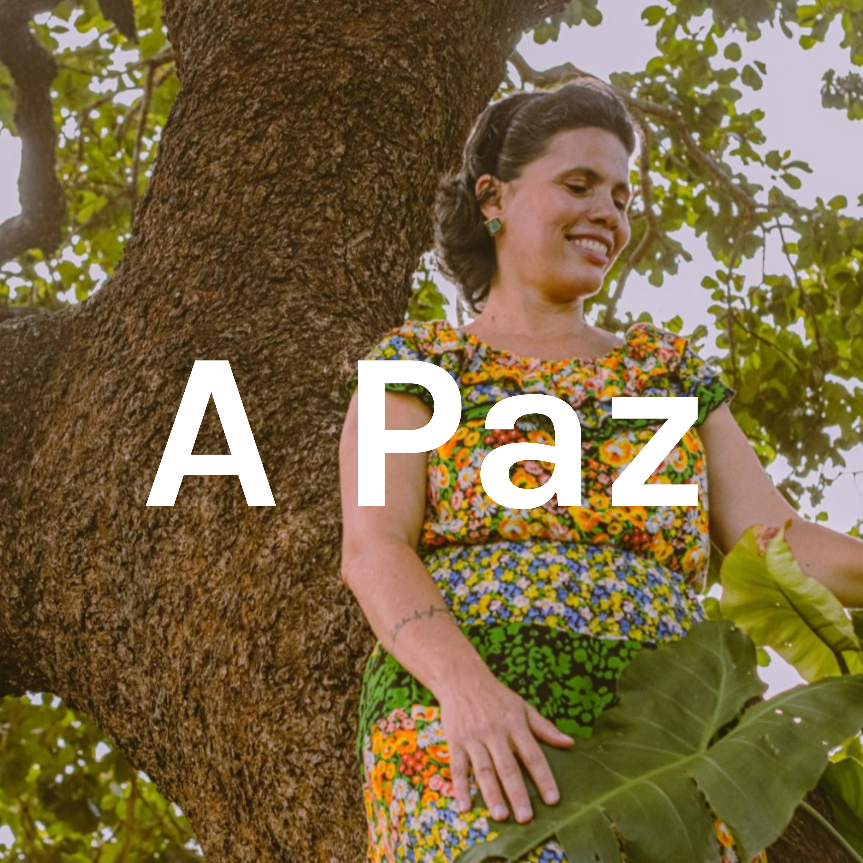 MEDITAÇÕES GUIADAS