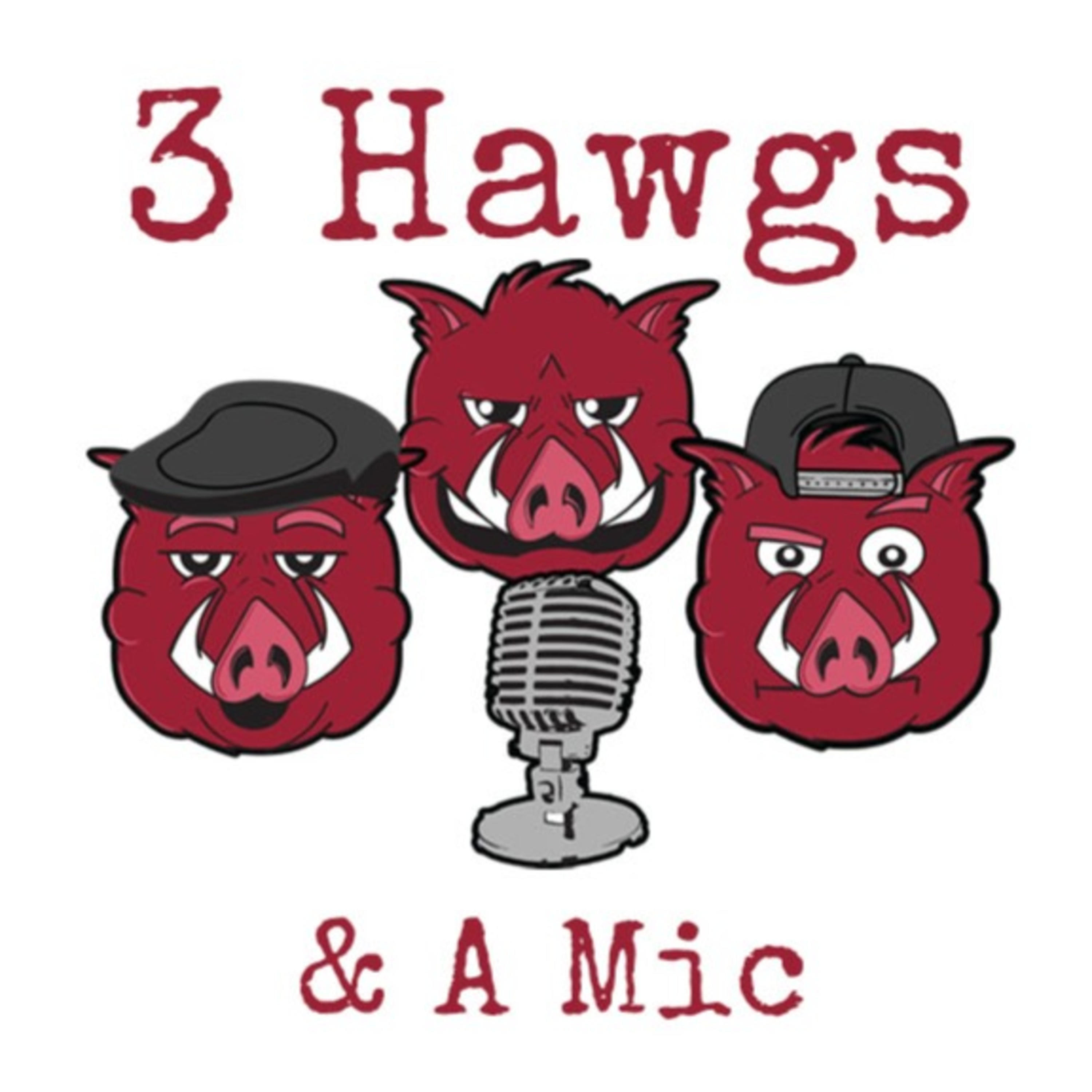 3 Hawgs & a Mic