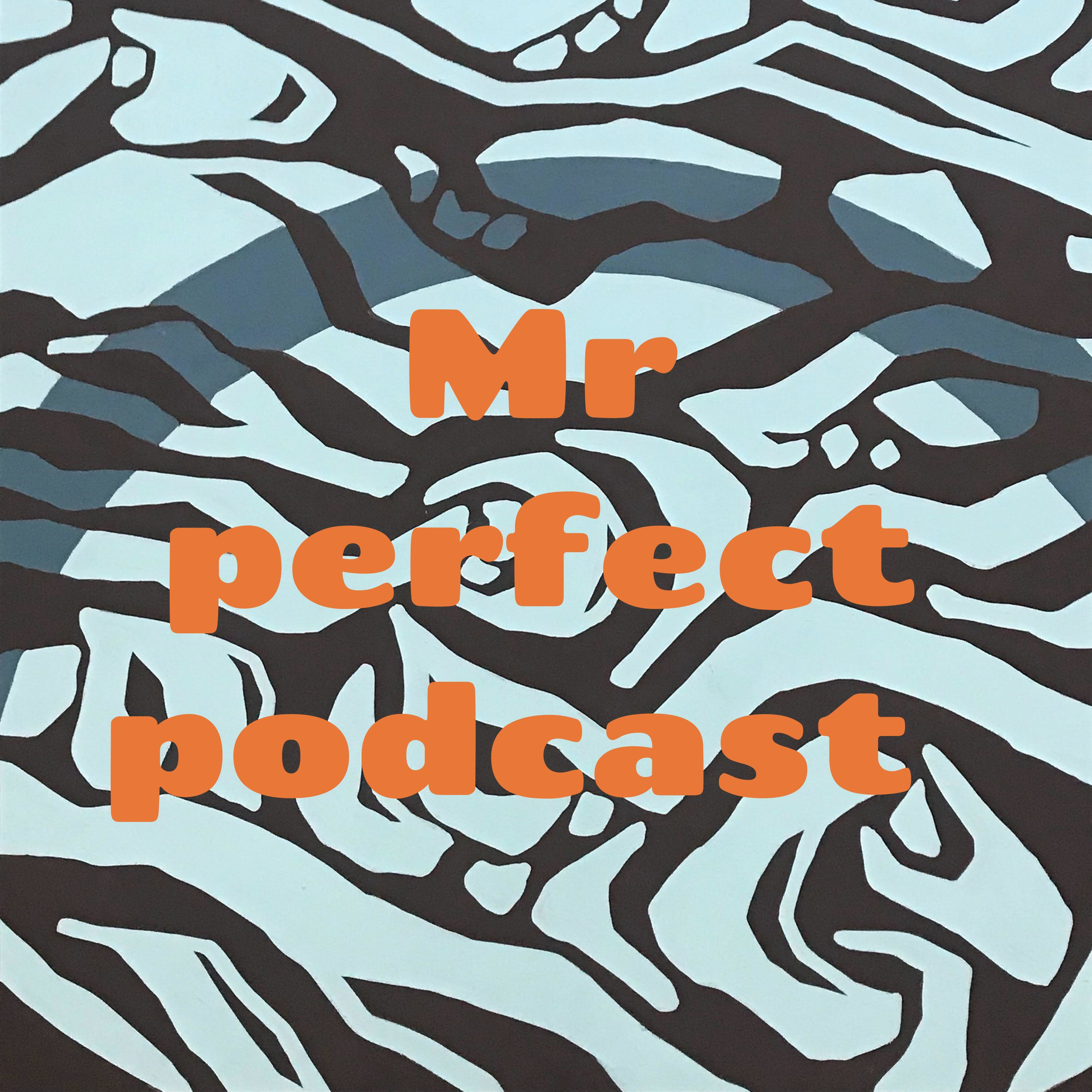 Mr perfect podcast podcast artwork
