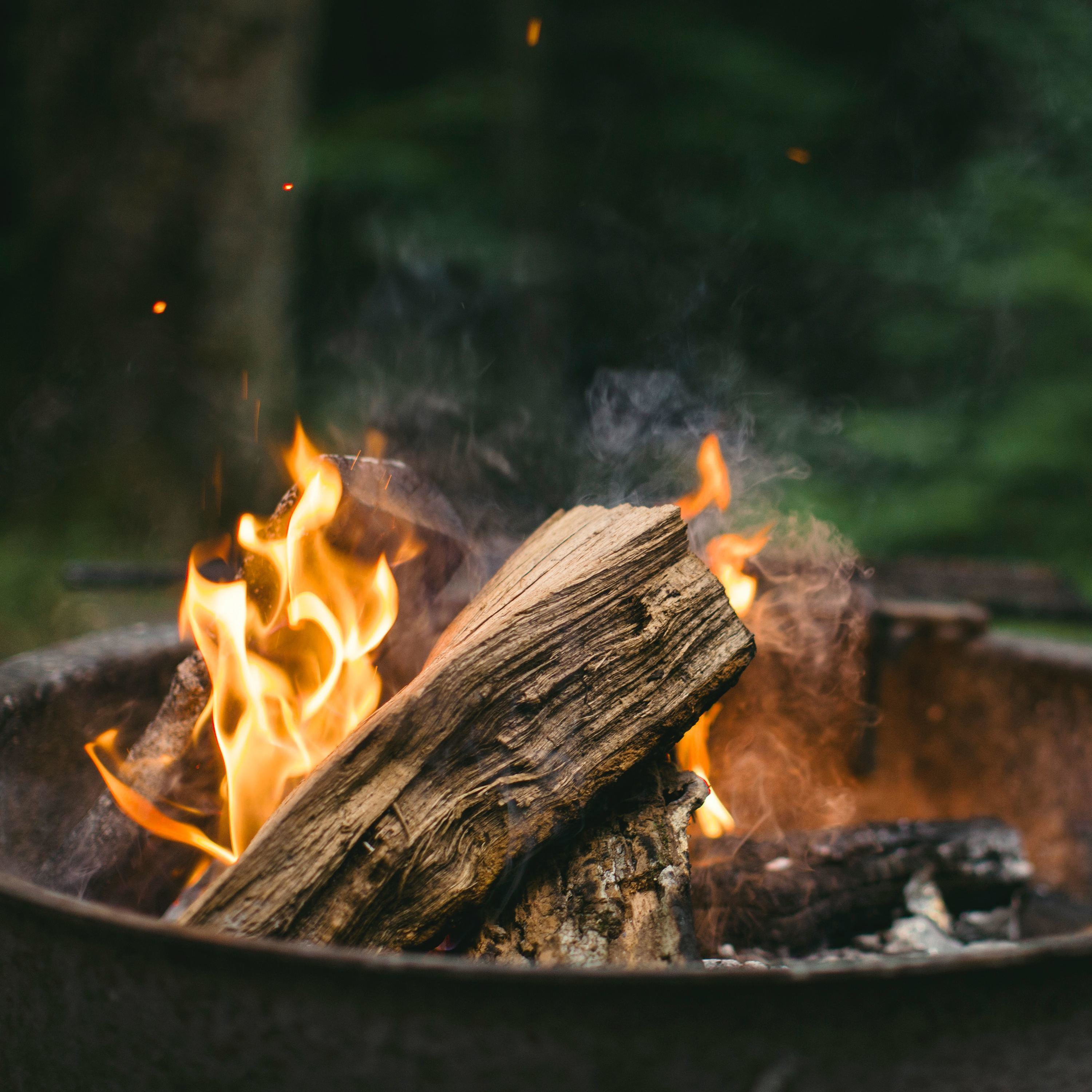 The Cousin Camp Podcast