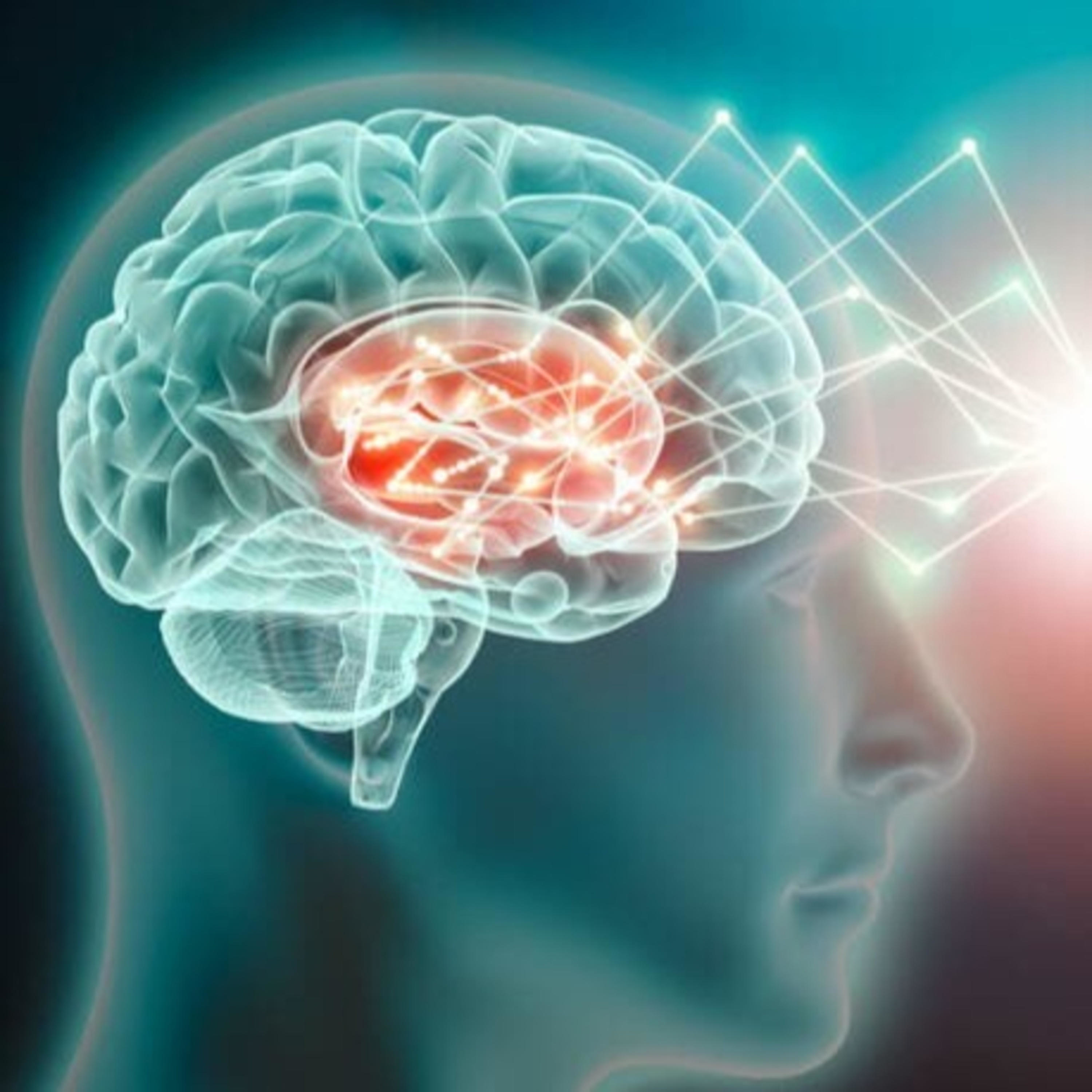 Diventare AntiFragile. Neuroscienze e Business