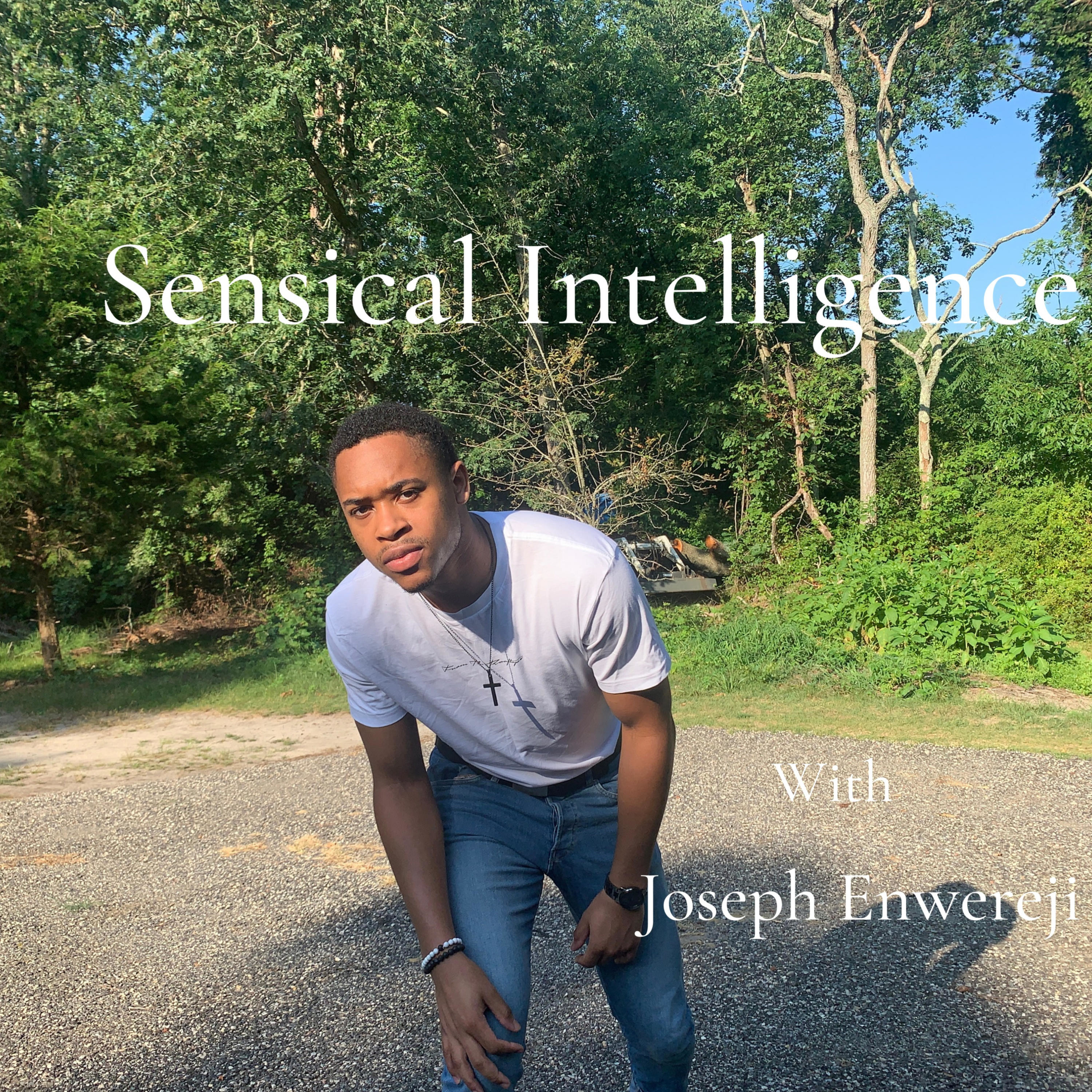 Sensical Intelligence