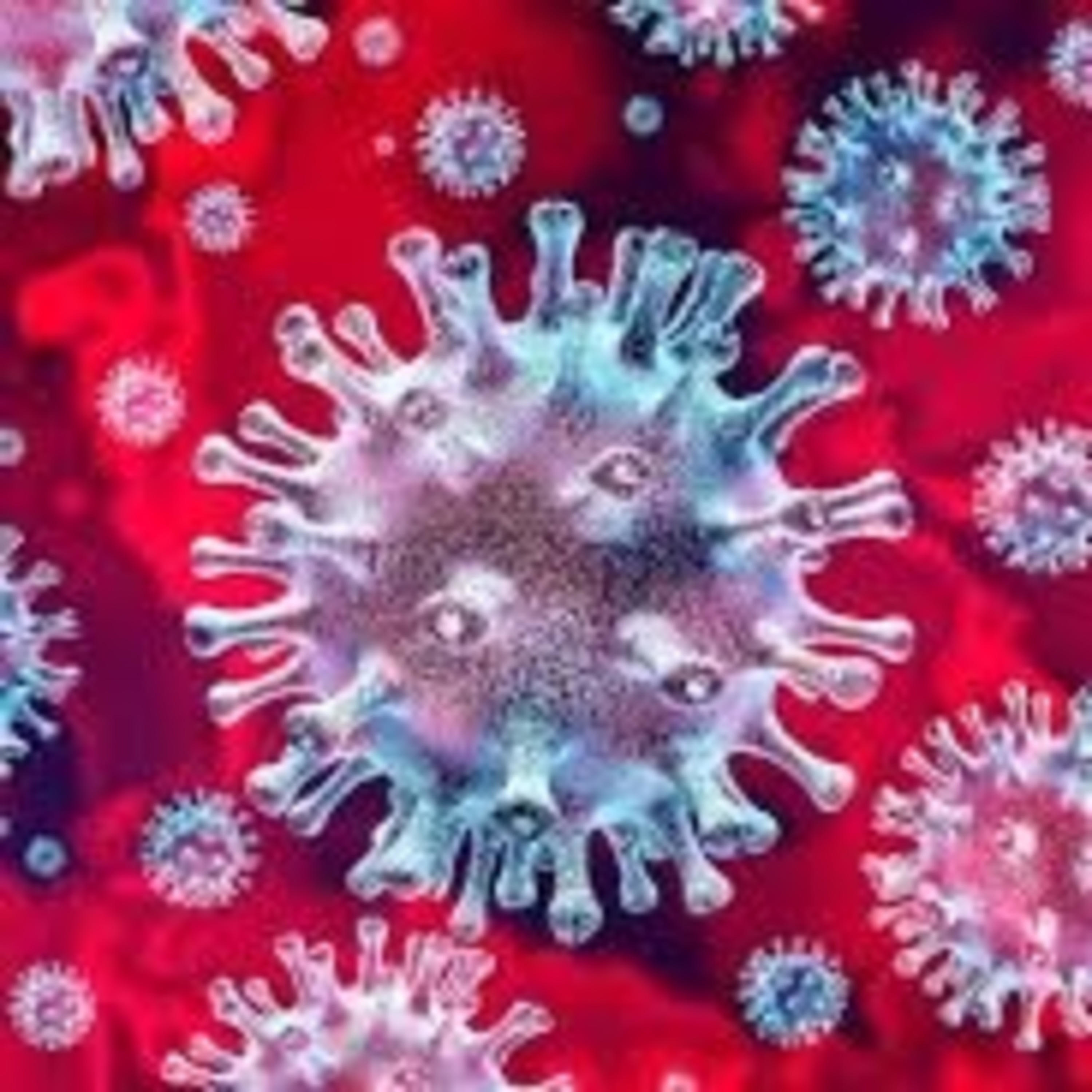 Coronavirus predictions 