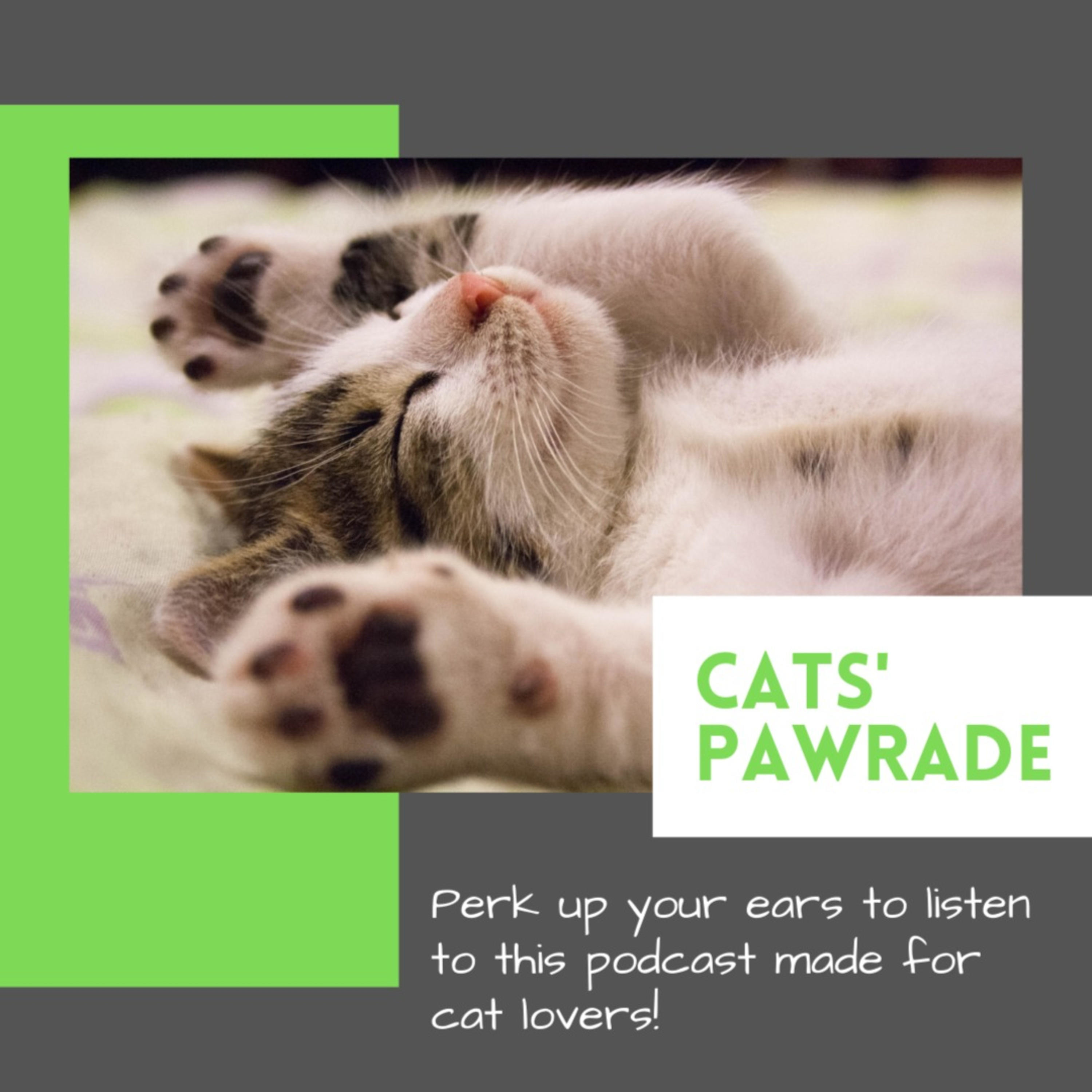Cats' Pawrade
