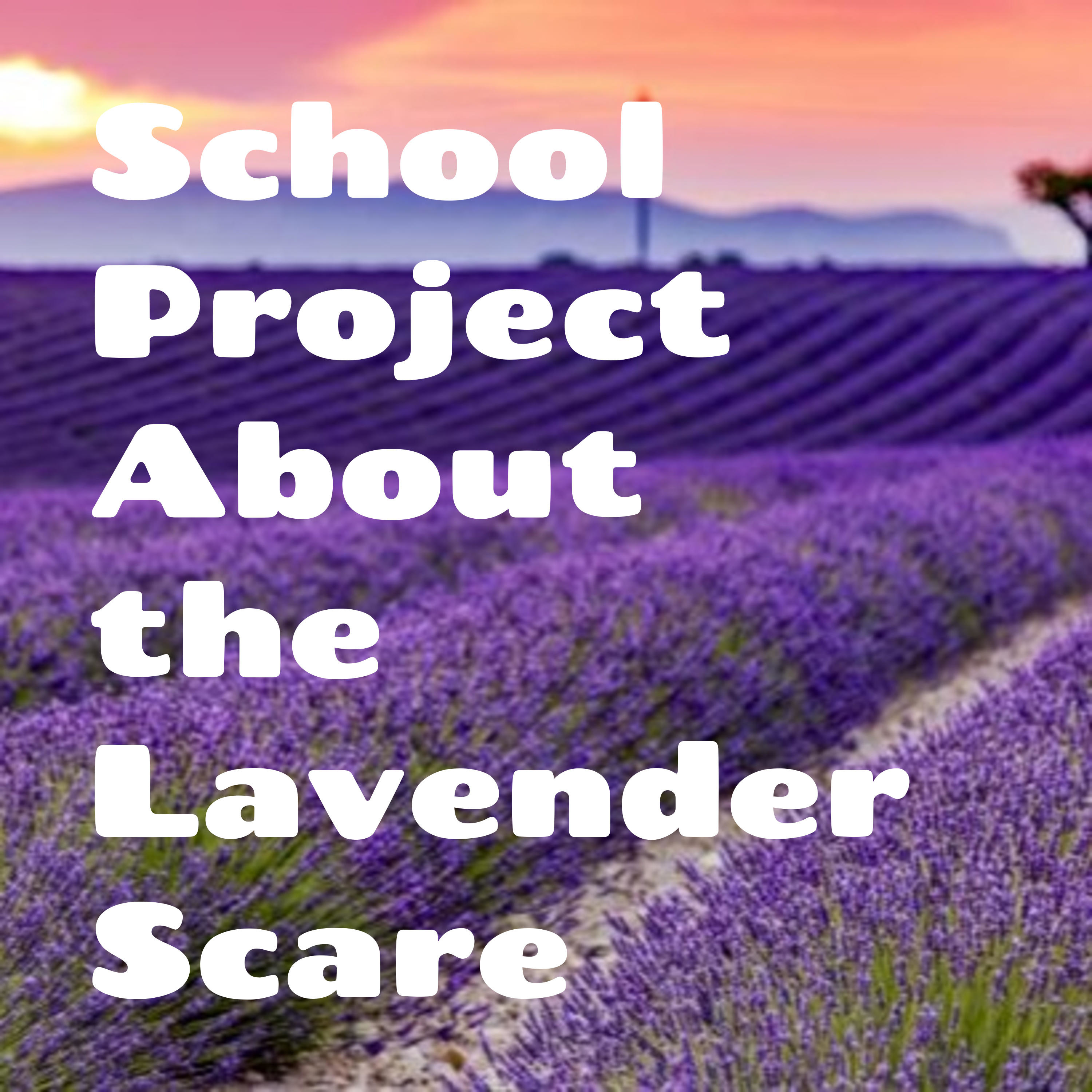 School Project About the Lavender Scare