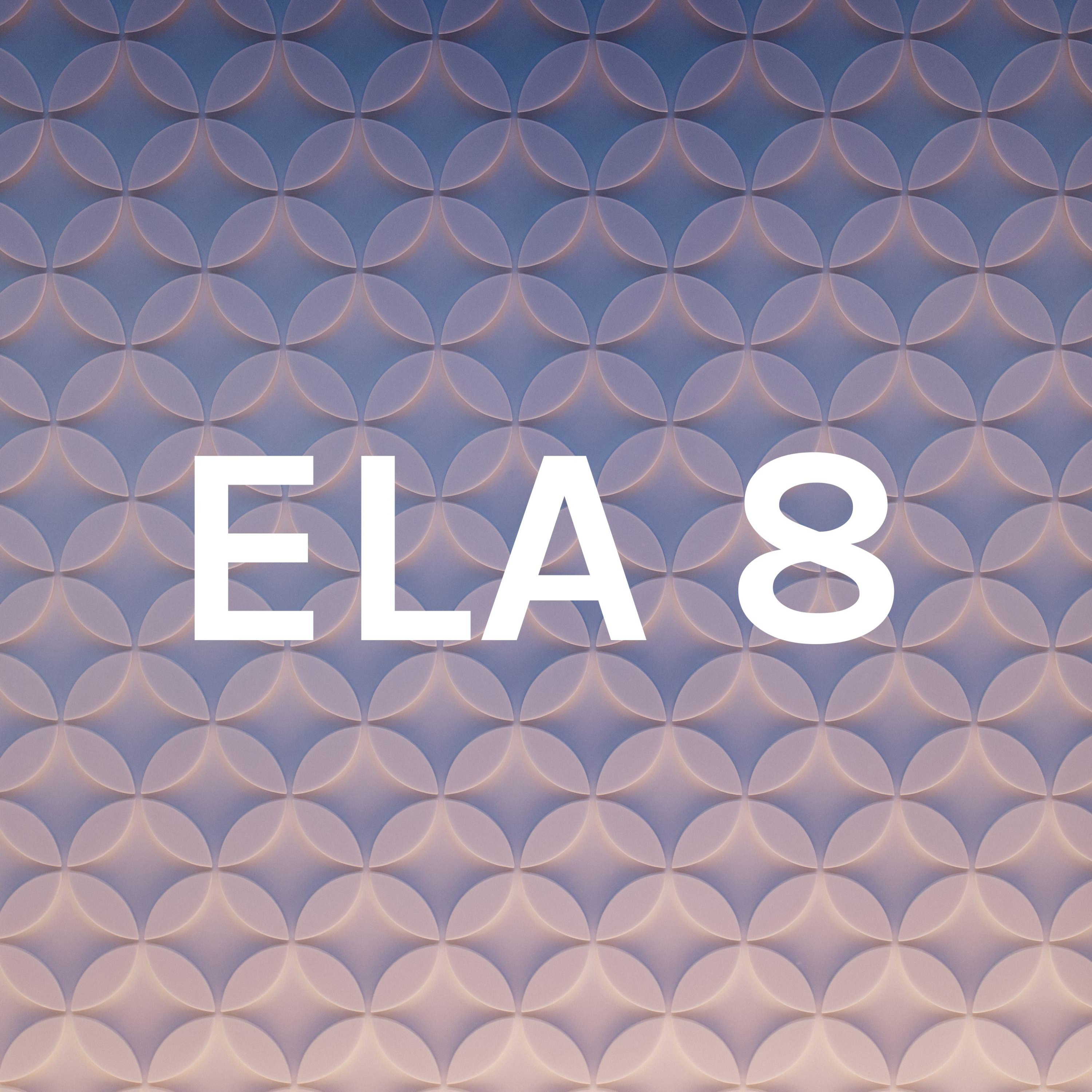 ELA 8 with Mrs. Head